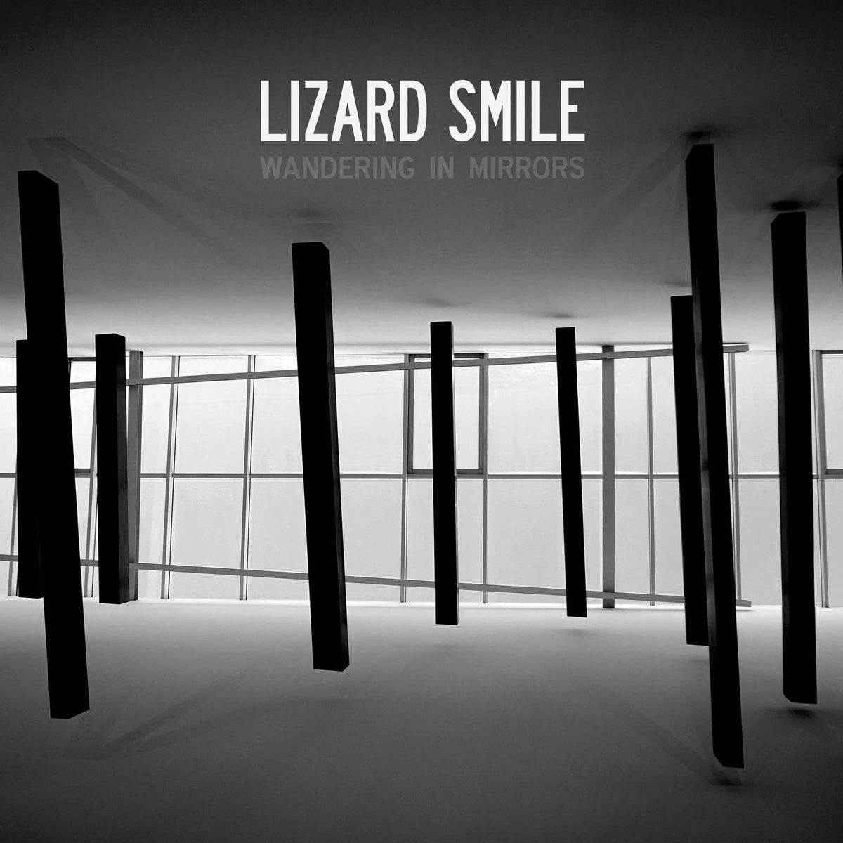 Lizard Smile – Wandering In Mirrors vinyl record cover