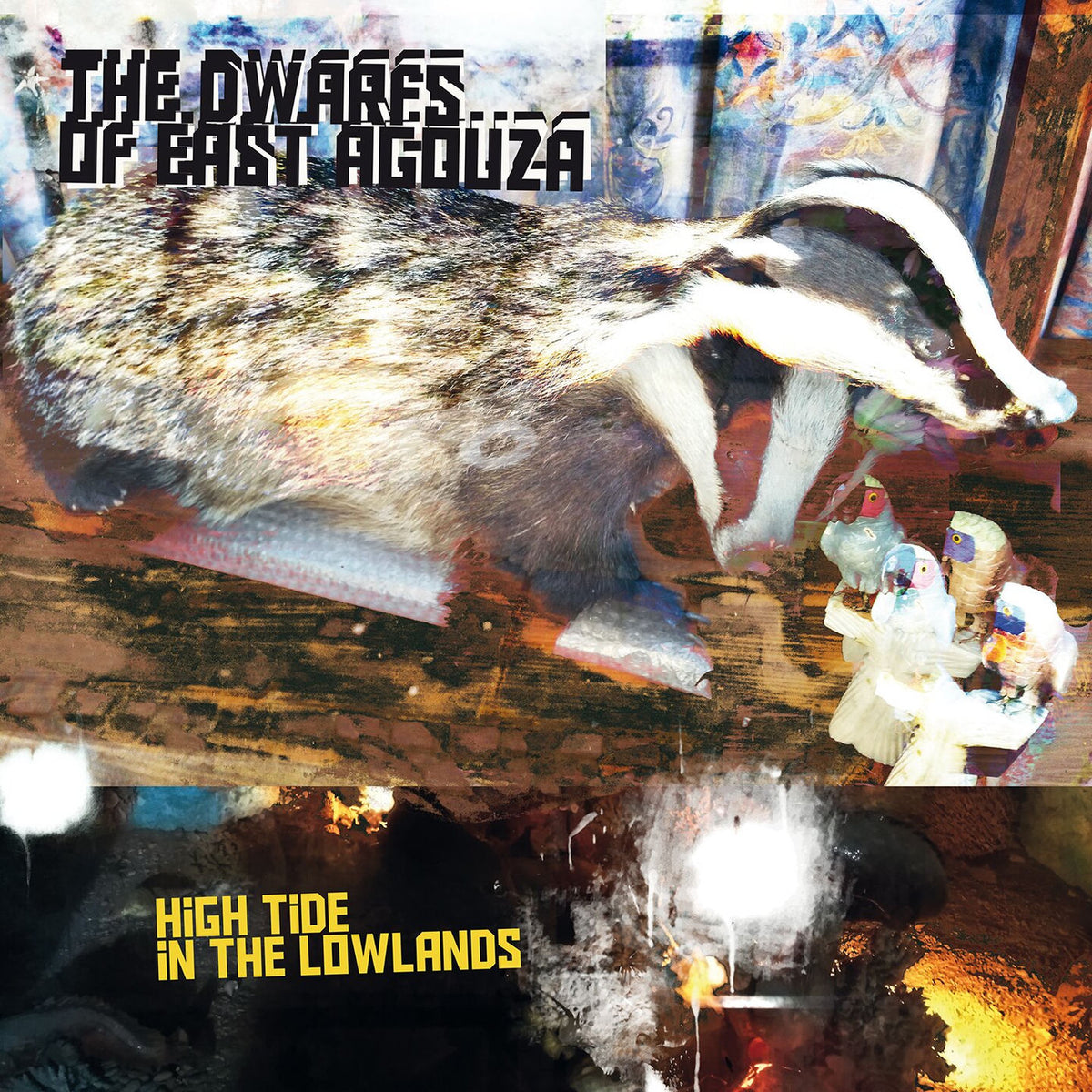 Dwarfs Of East Agouza – High Tide In The Lowlands vinyl record cover