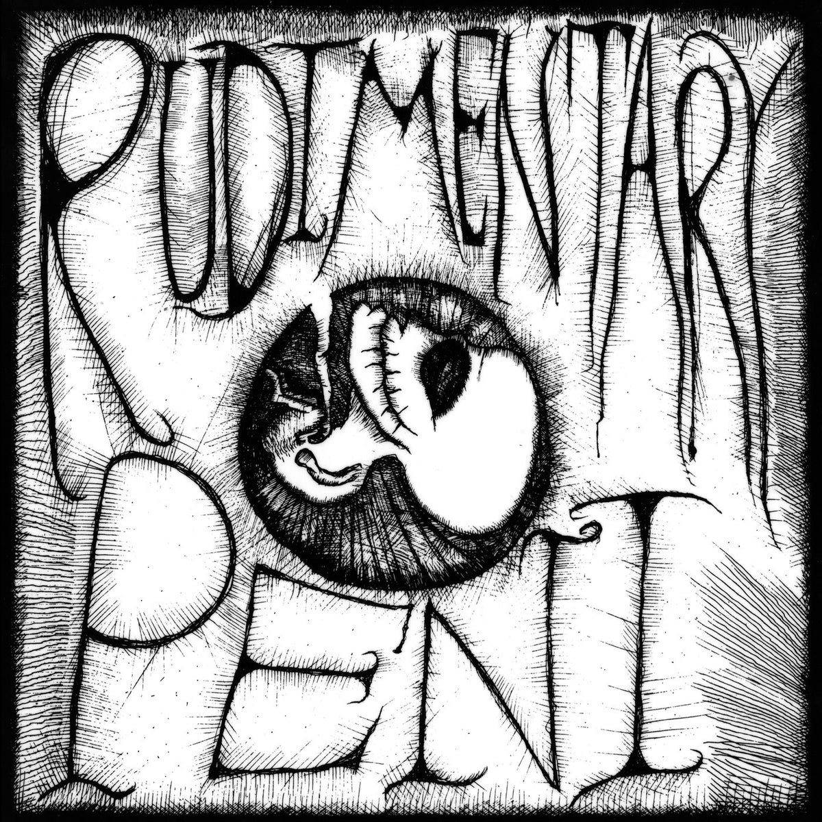Rudimentary Peni – Rudimentary Peni vinyl cover