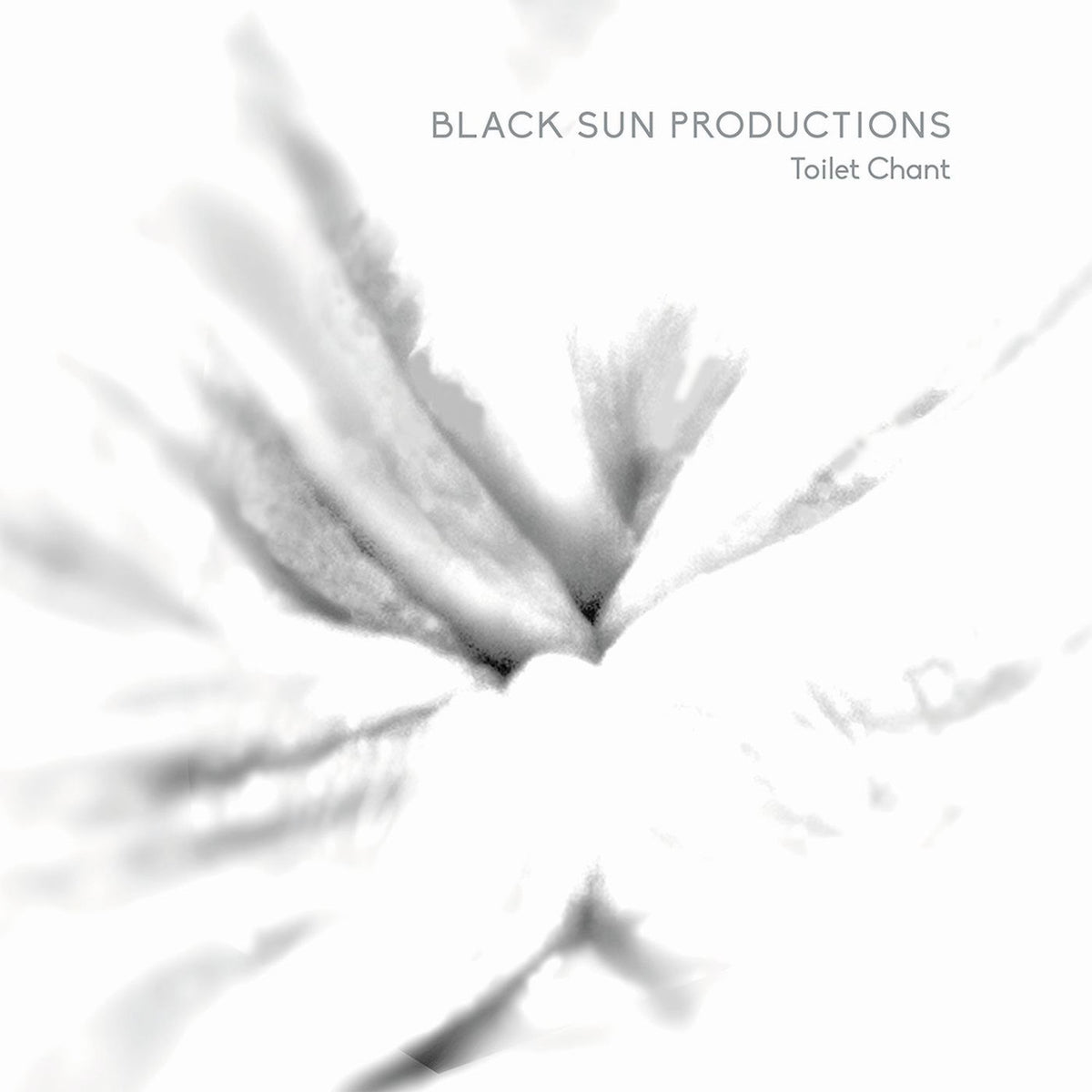 Black Sun Productions – Toilet Chant vinyl record cover