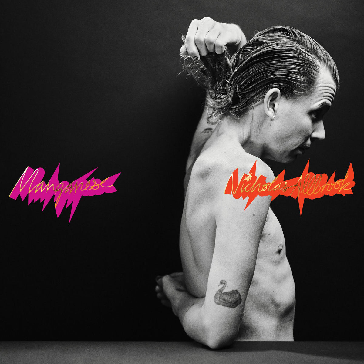 Nicholas Allbrook – Manganese vinyl record cover