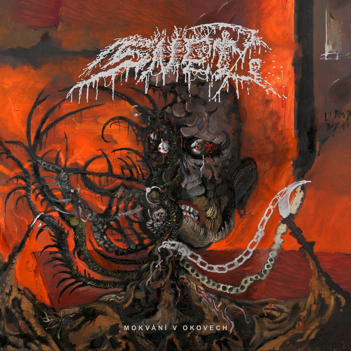 SNET – Mokvani V Okovech vinyl record cover