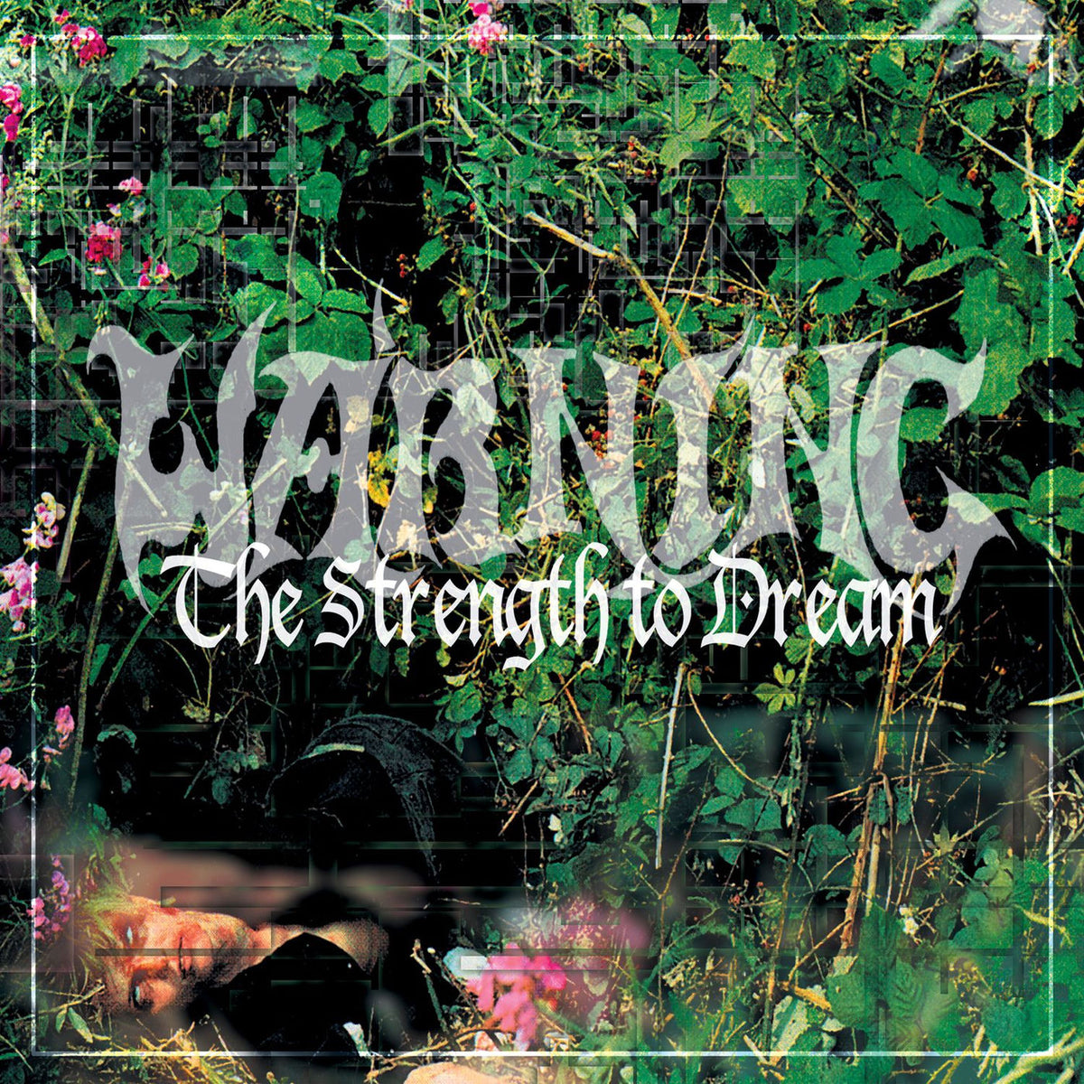 Warning – The Strength To Dream vinyl record cover