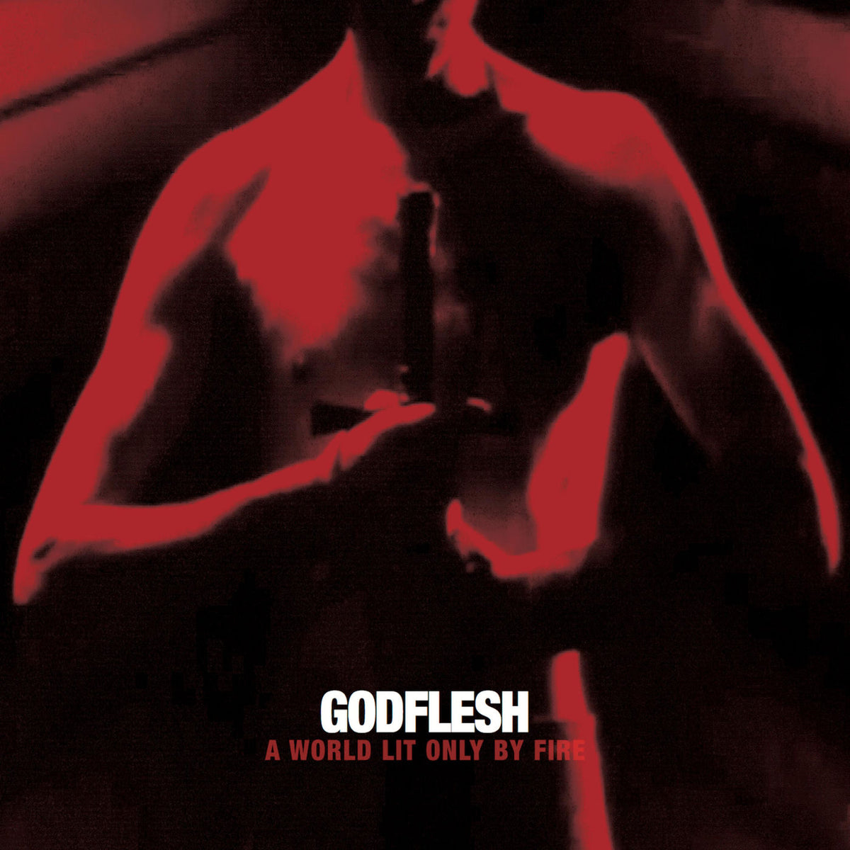 Godflesh – A World Lit Only By Fire vinyl record cover
