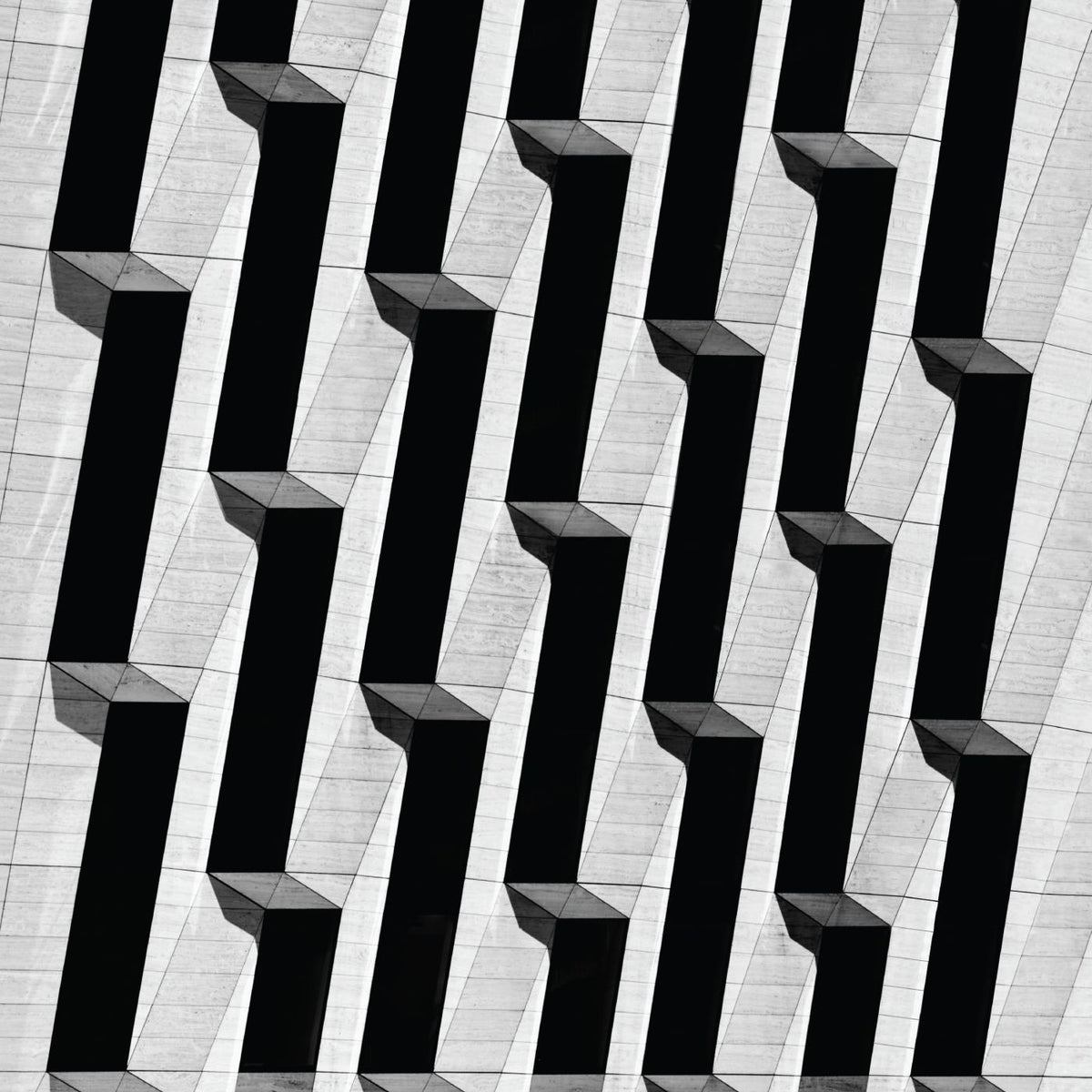 Snow Palms – Everything Ascending vinyl cover