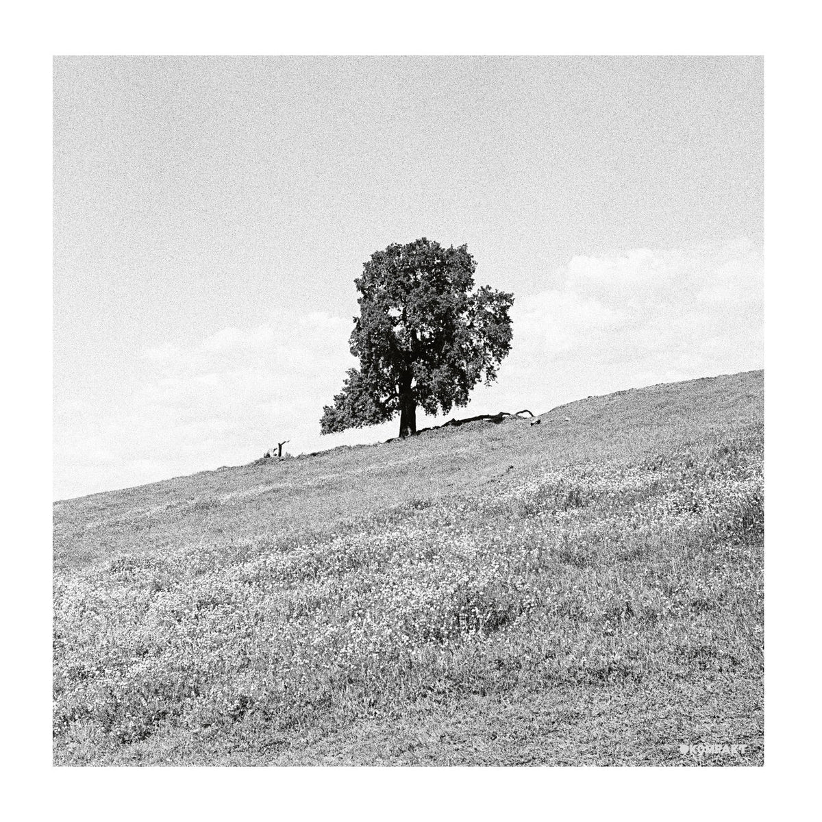 Blank Gloss – Cornered vinyl record cover