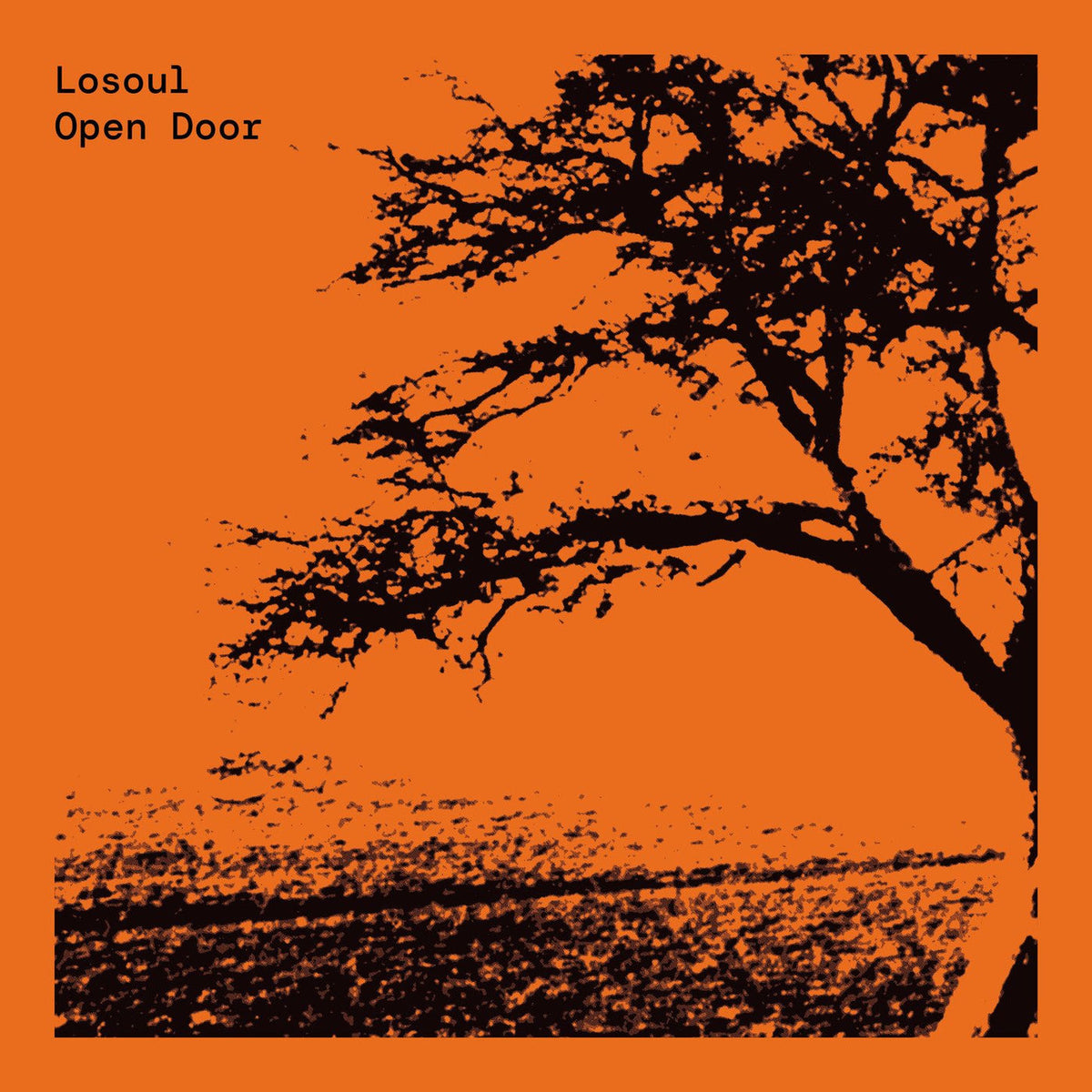 Losoul – Open Door (Expanded Edition) vinyl cover