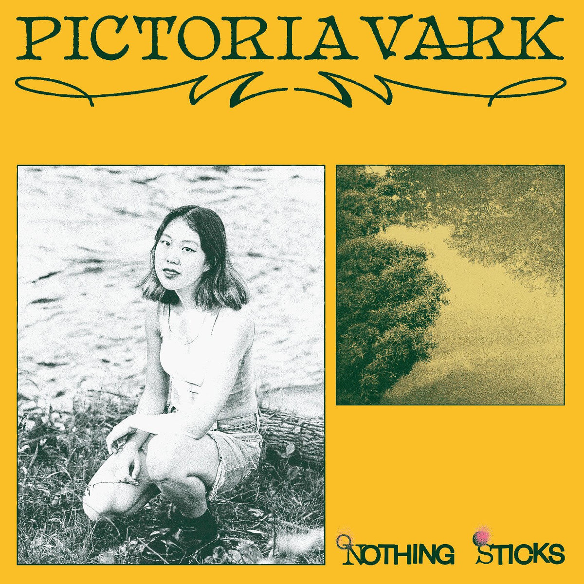 Pictoria Vark – Nothing Sticks vinyl record cover