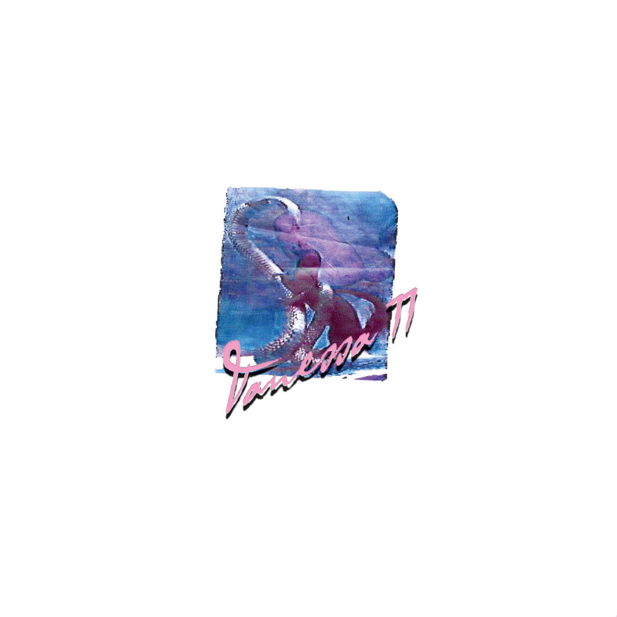 Vanessa Worm – Vanessa 77 vinyl record cover