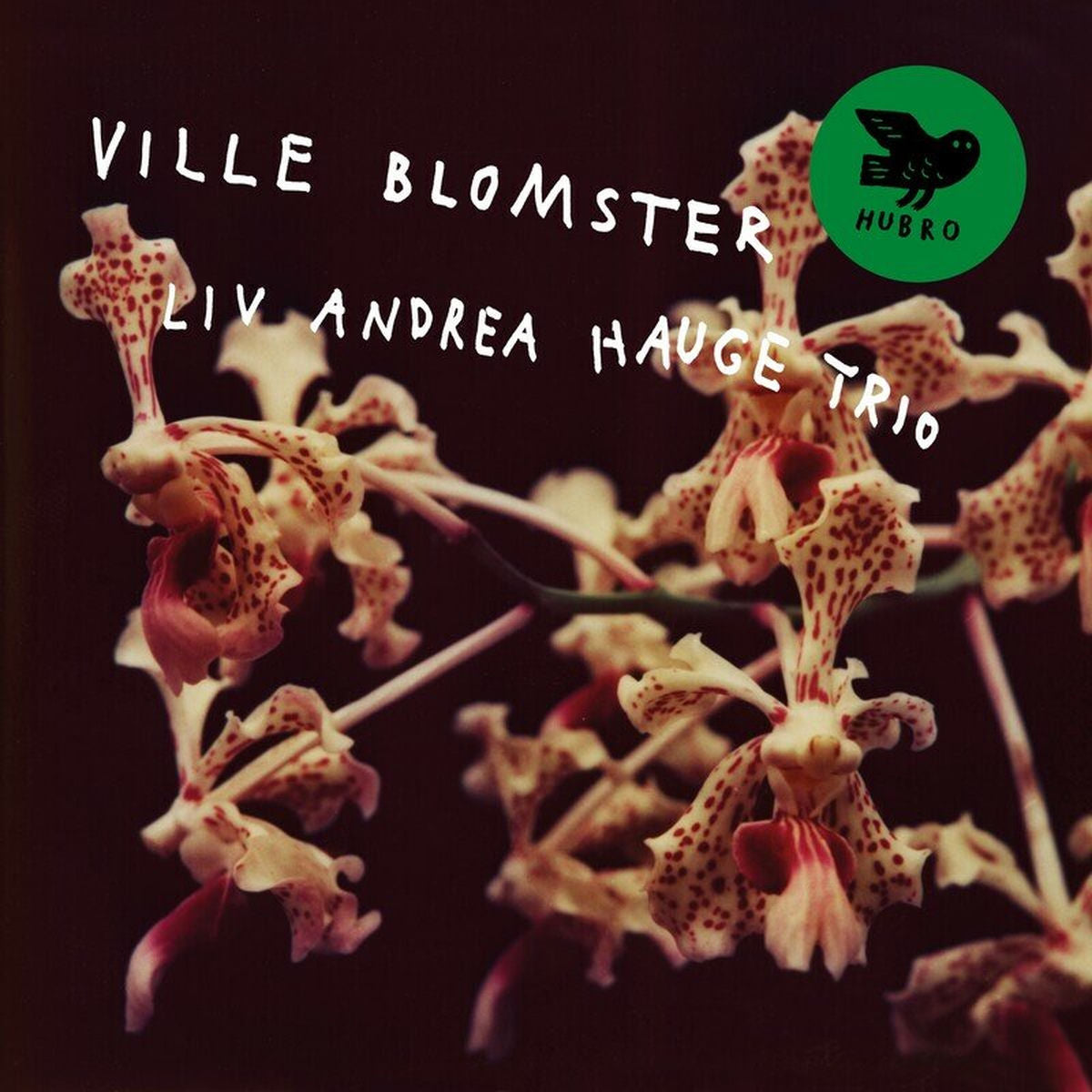 Liv Andrea Hauge Trio – Ville Blomster vinyl cover