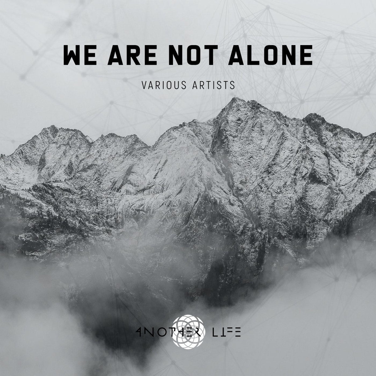 Various Artists – We Are Not Alone vinyl record cover