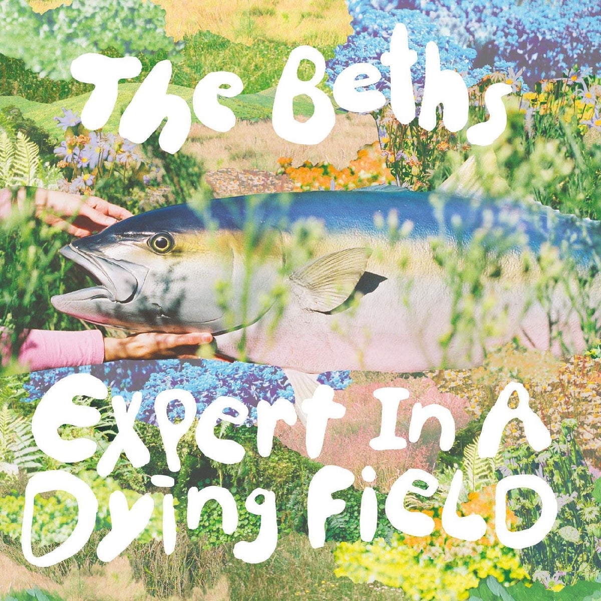 The Beths – Expert in a Dying Field vinyl record cover