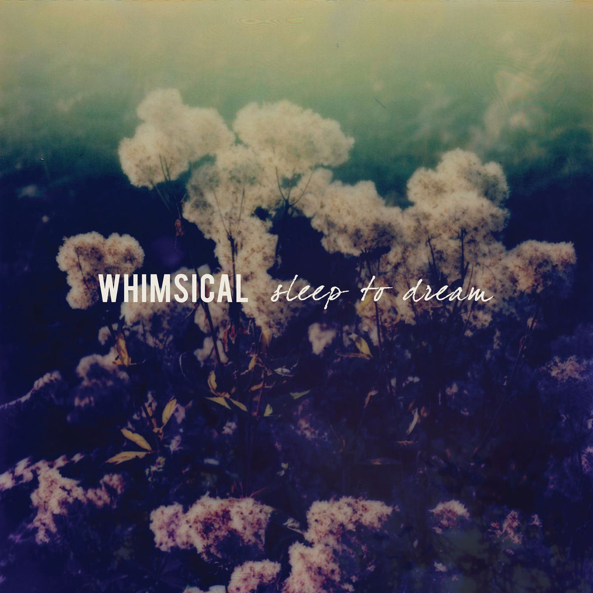 Whimsical – Sleep To Dream vinyl record cover