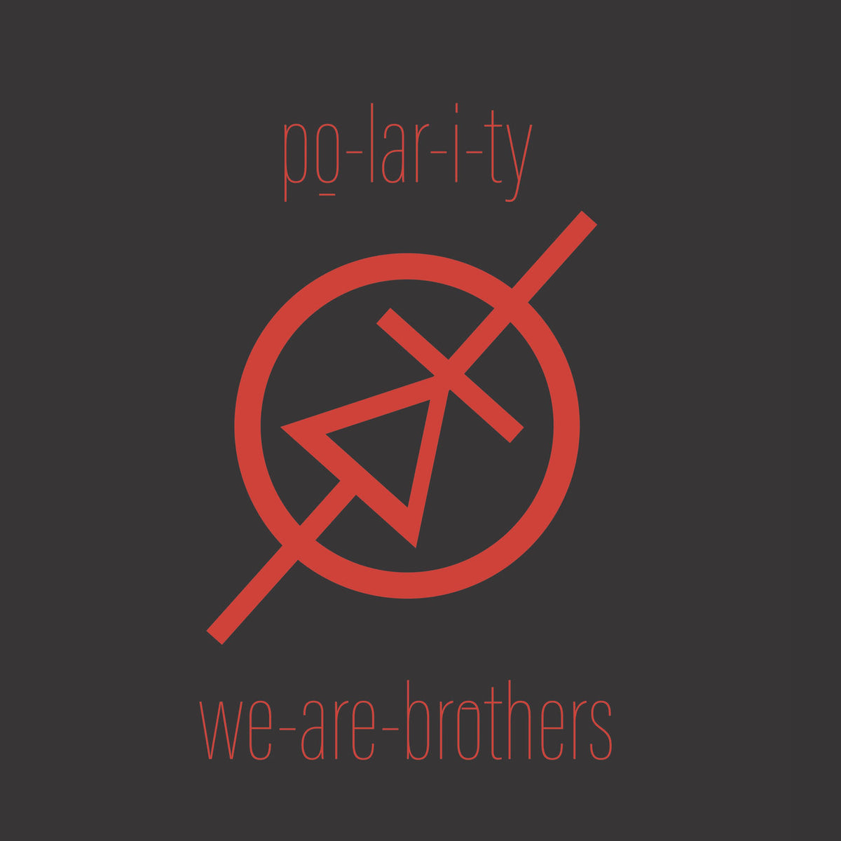 po-lar-i-ty – we-are-brothers vinyl cover
