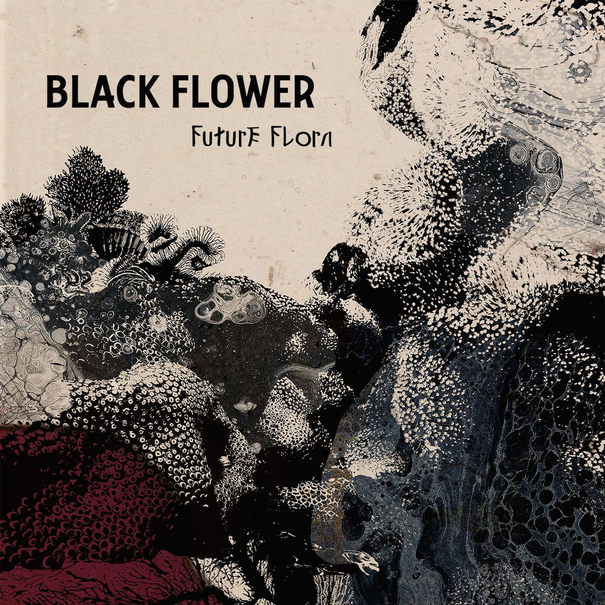 Black Flower – Future Flora vinyl record cover