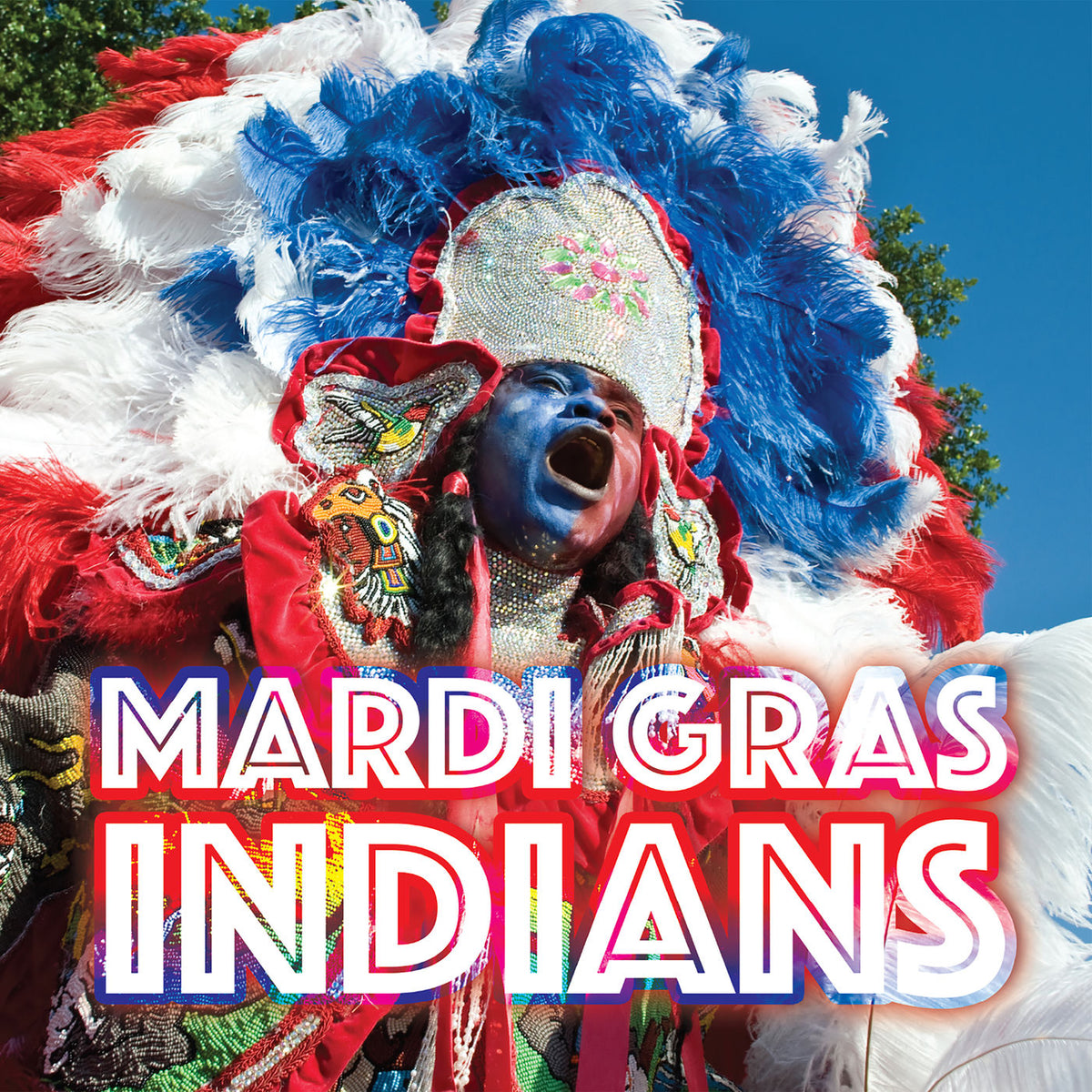 Various Artists – Mardi Gras Indians vinyl record cover