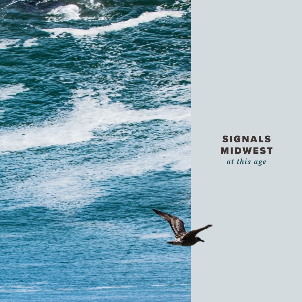 Signals Midwest – At This Age (DLCD) vinyl record cover