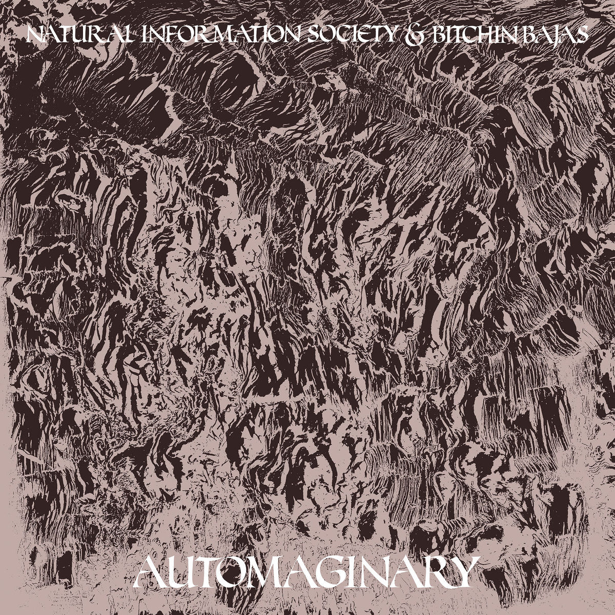 Bitchin Bajas and Natural Information Society – Automaginary vinyl cover