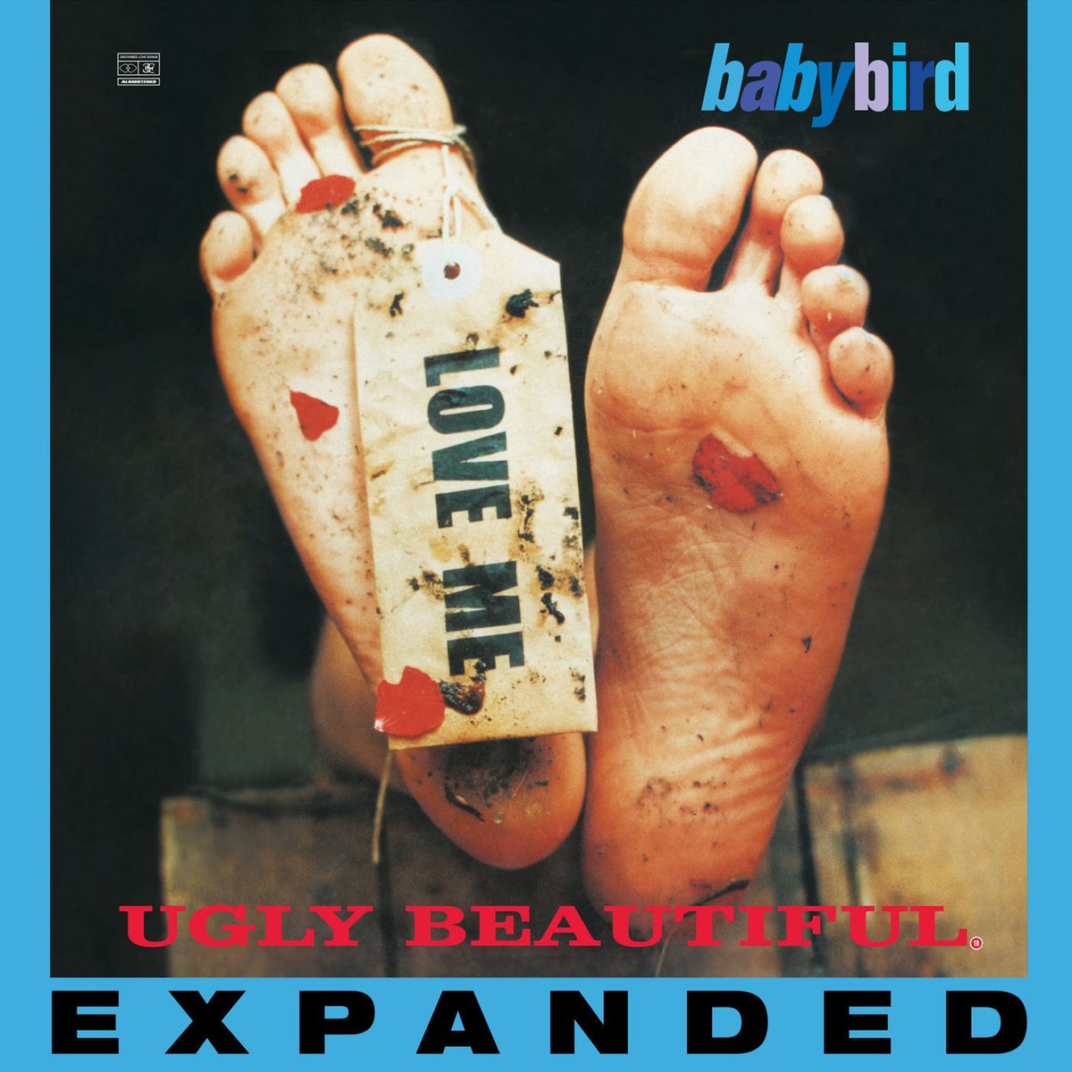 Babybird – Ugly Beautiful (Expanded) vinyl cover