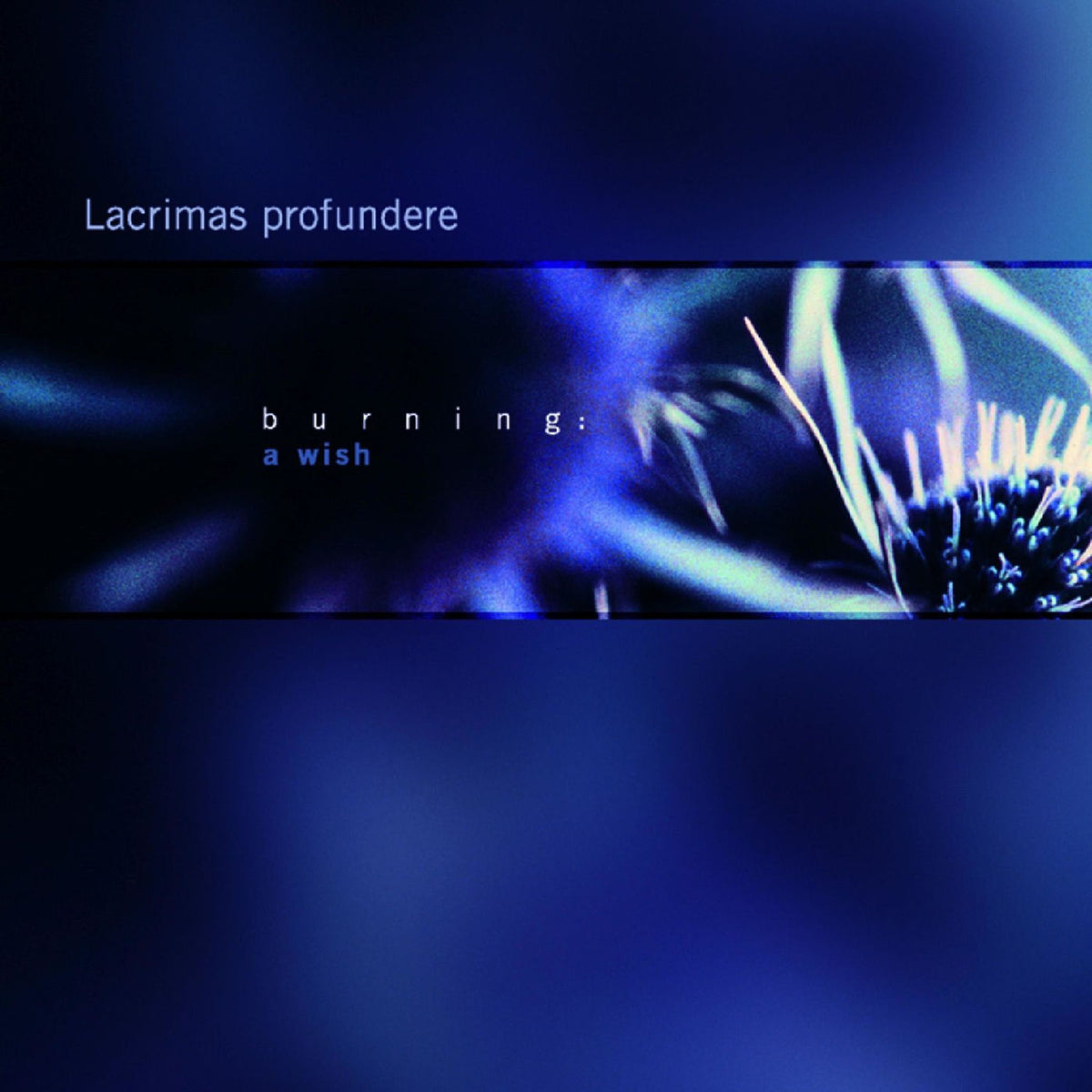 Lacrimas Profundere – Burning: A Wish (Purple Vinyl) vinyl record cover