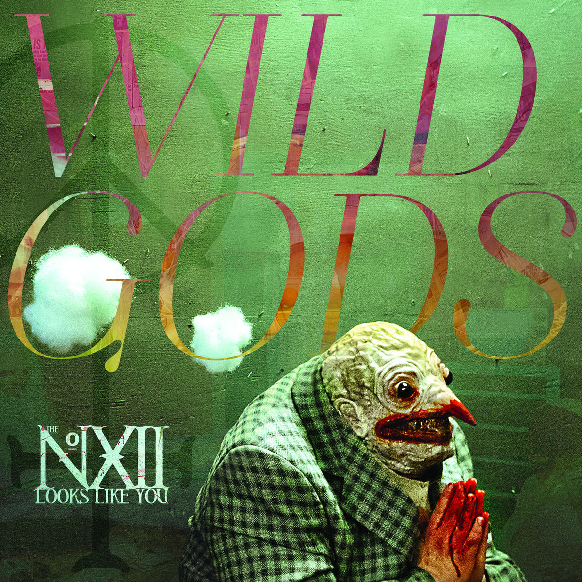 Number Twelve Looks Like You – Wild Gods vinyl record cover