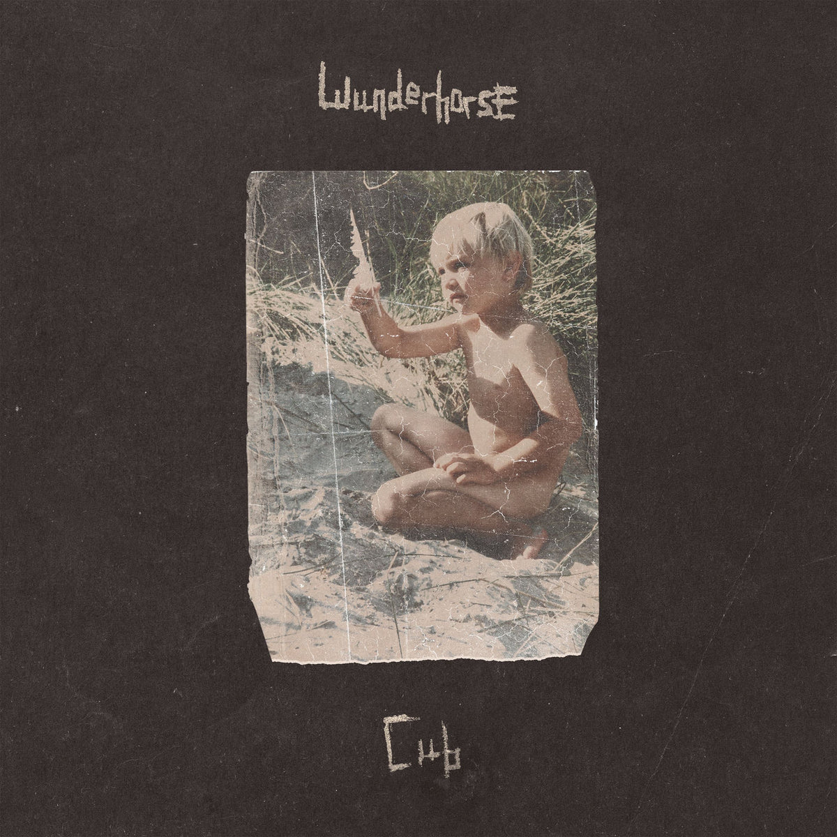 Wunderhorse – Cub vinyl record cover