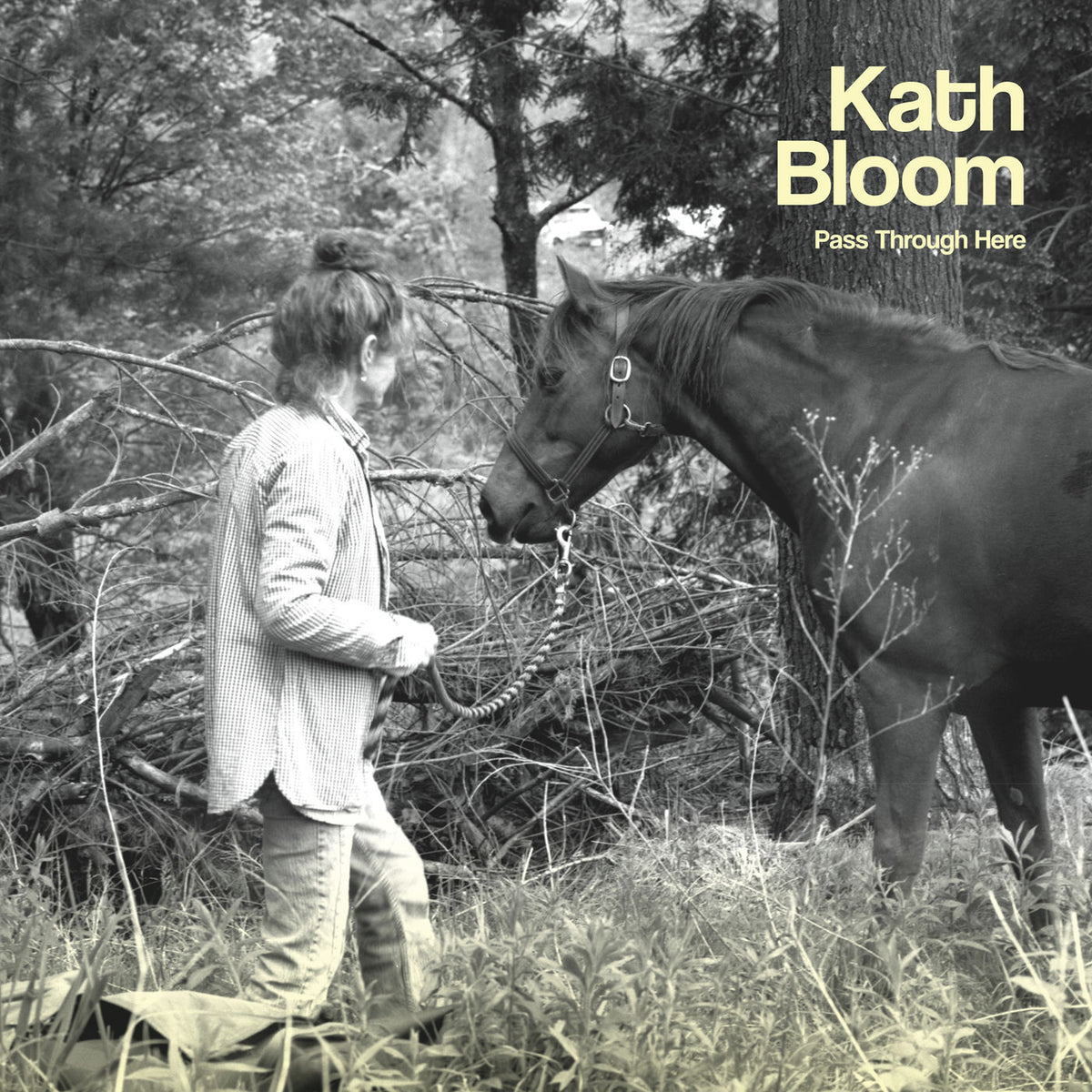 Kath Bloom – Pass Through Here — record image 1