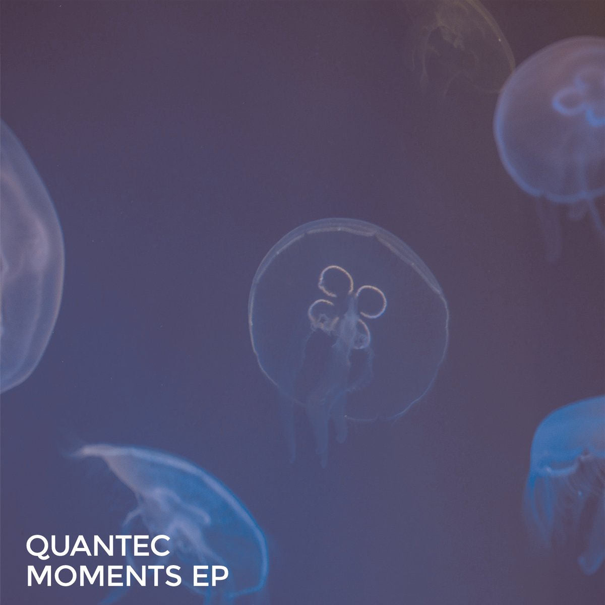 Quantec – Moments EP vinyl cover