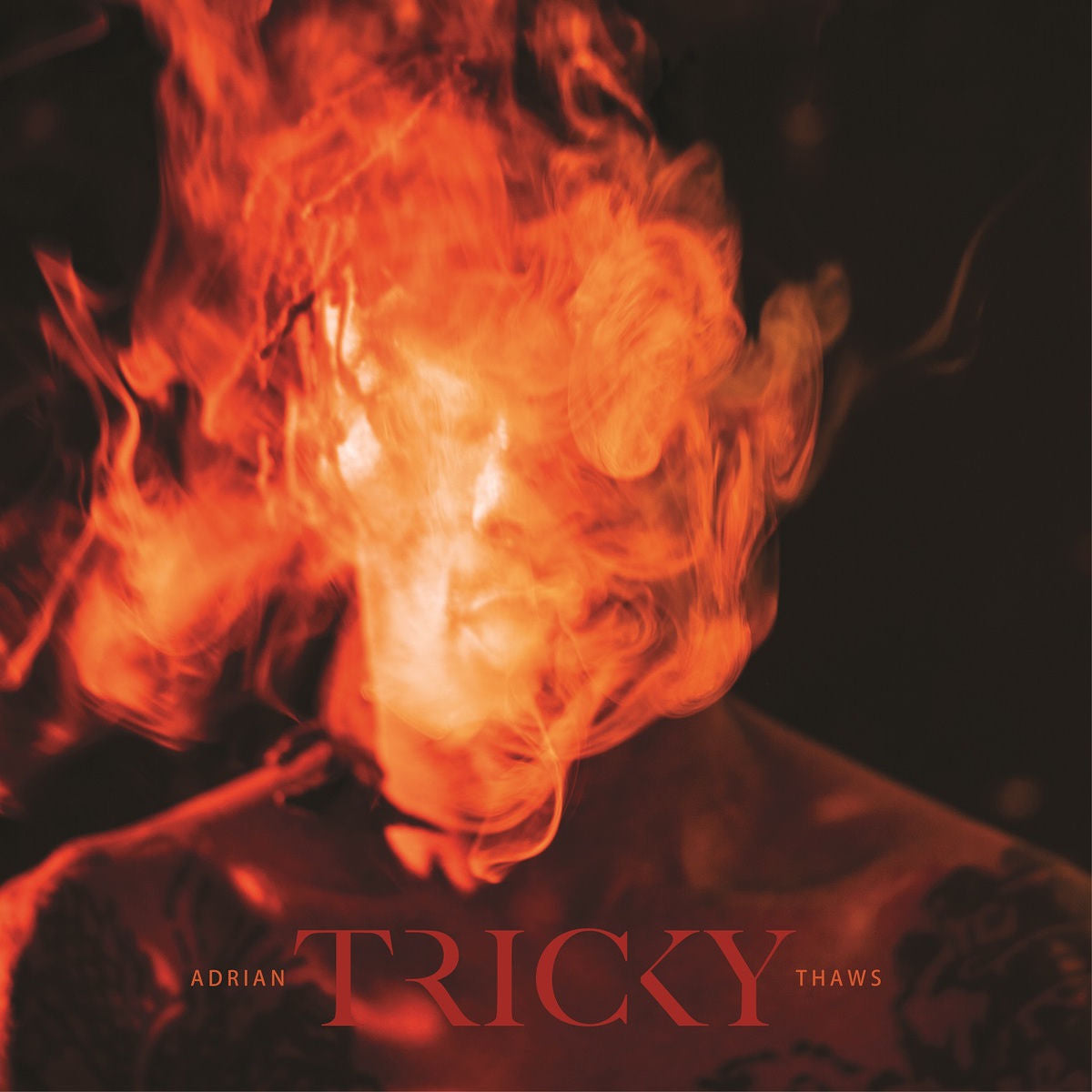 Tricky – Adrian Thaws vinyl record cover