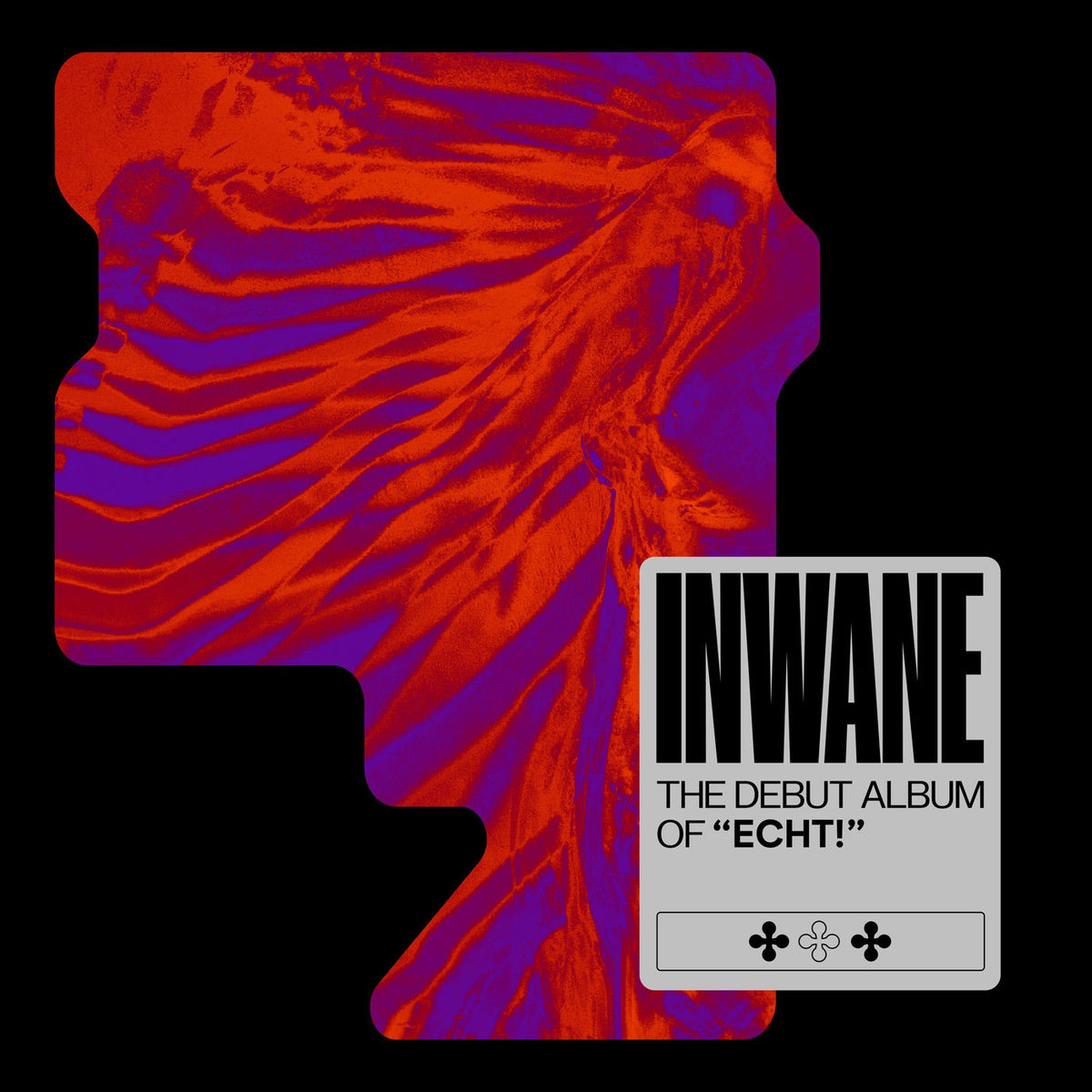 Echt! – Inwane vinyl record cover