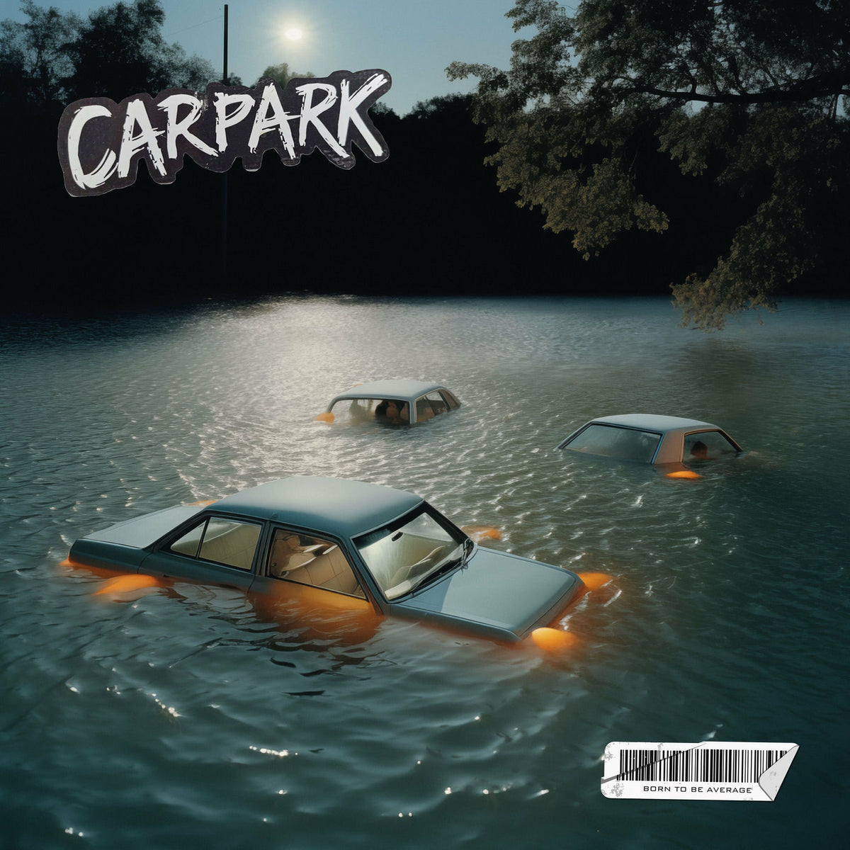 Carpark – Born To Be Average vinyl cover
