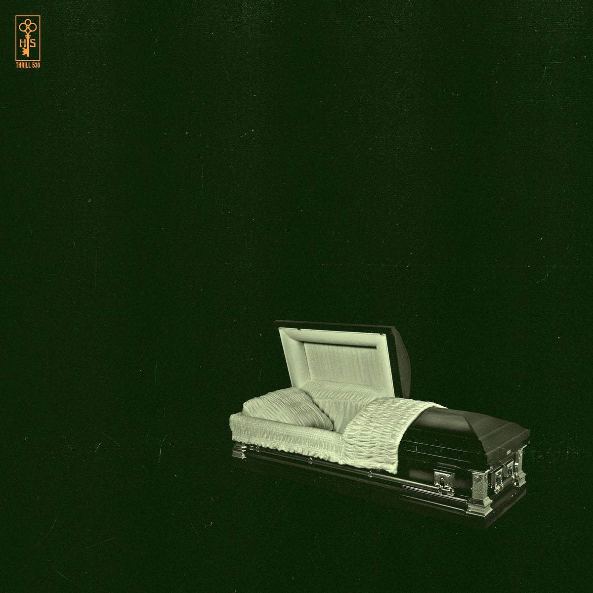 Holy Sons – Raw and Disfigured vinyl record cover