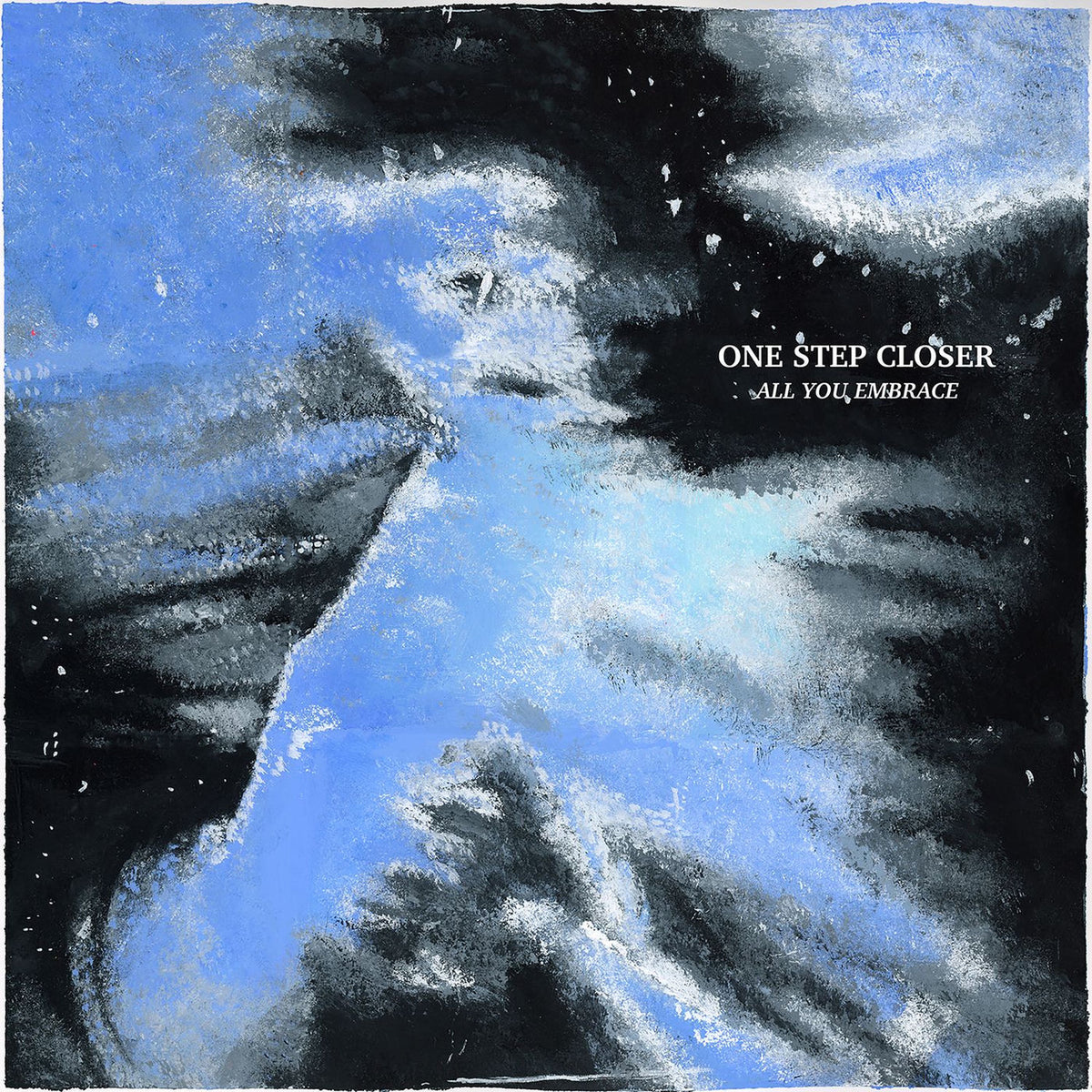 One Step Closer – All You Embrace vinyl record cover