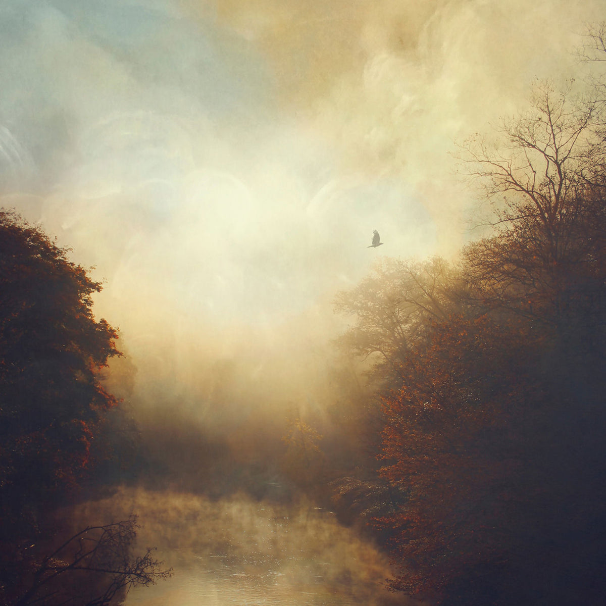 Stray Theories – This Light vinyl record cover