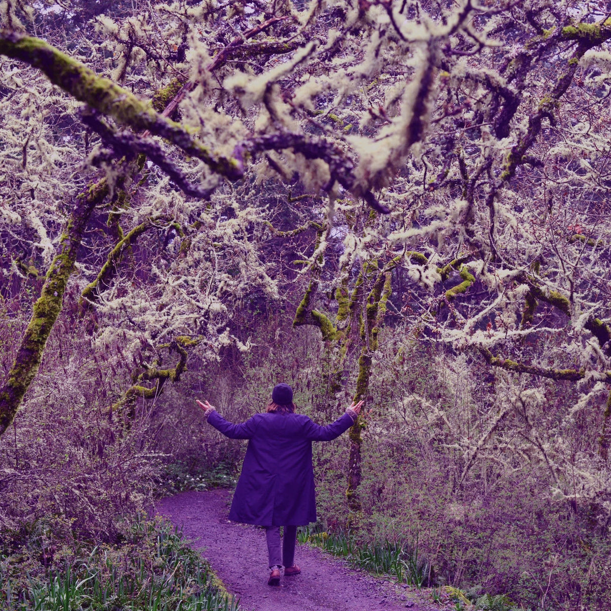 Iceberg Ferg – In The Valley Of The Purple Prince vinyl record cover