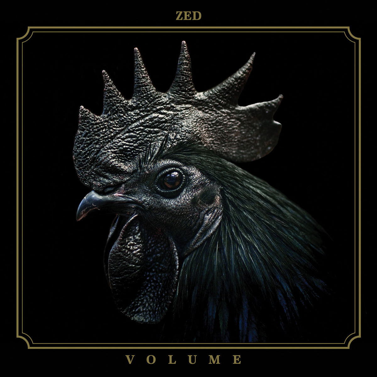 ZED – Volume vinyl record cover