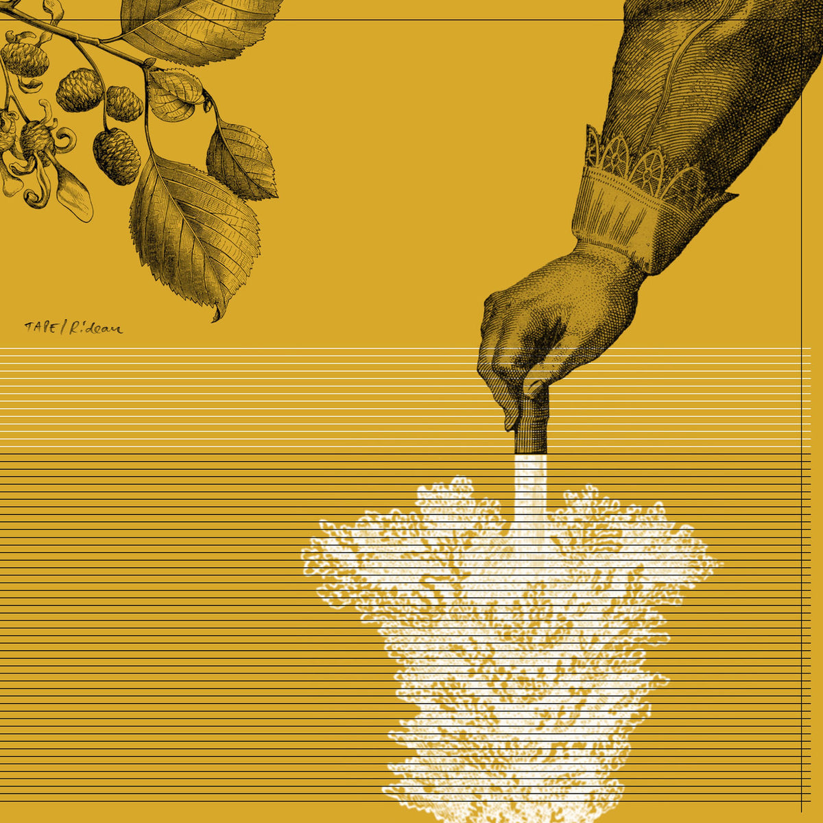 Tape – Rideau vinyl record cover