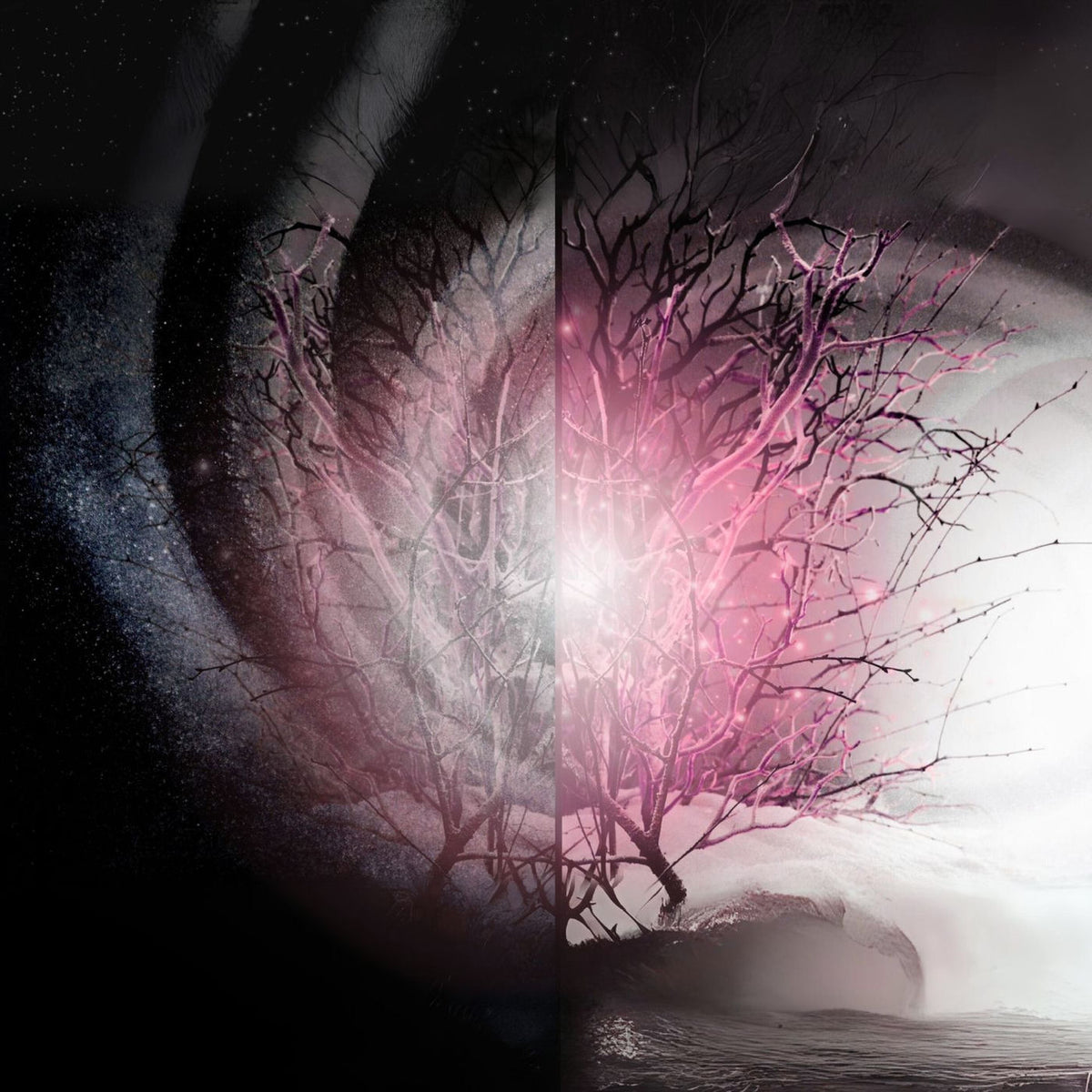 Winterlight – Winterlight vinyl record cover