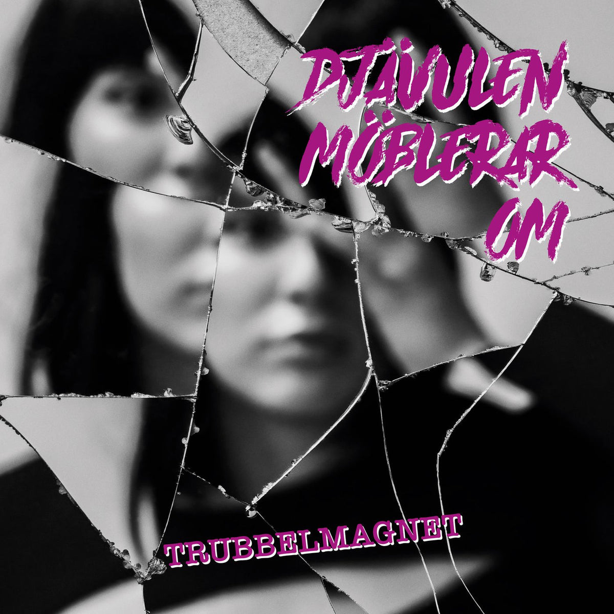 Djävulen Möblerar Om – Trubbelmagnet vinyl record cover