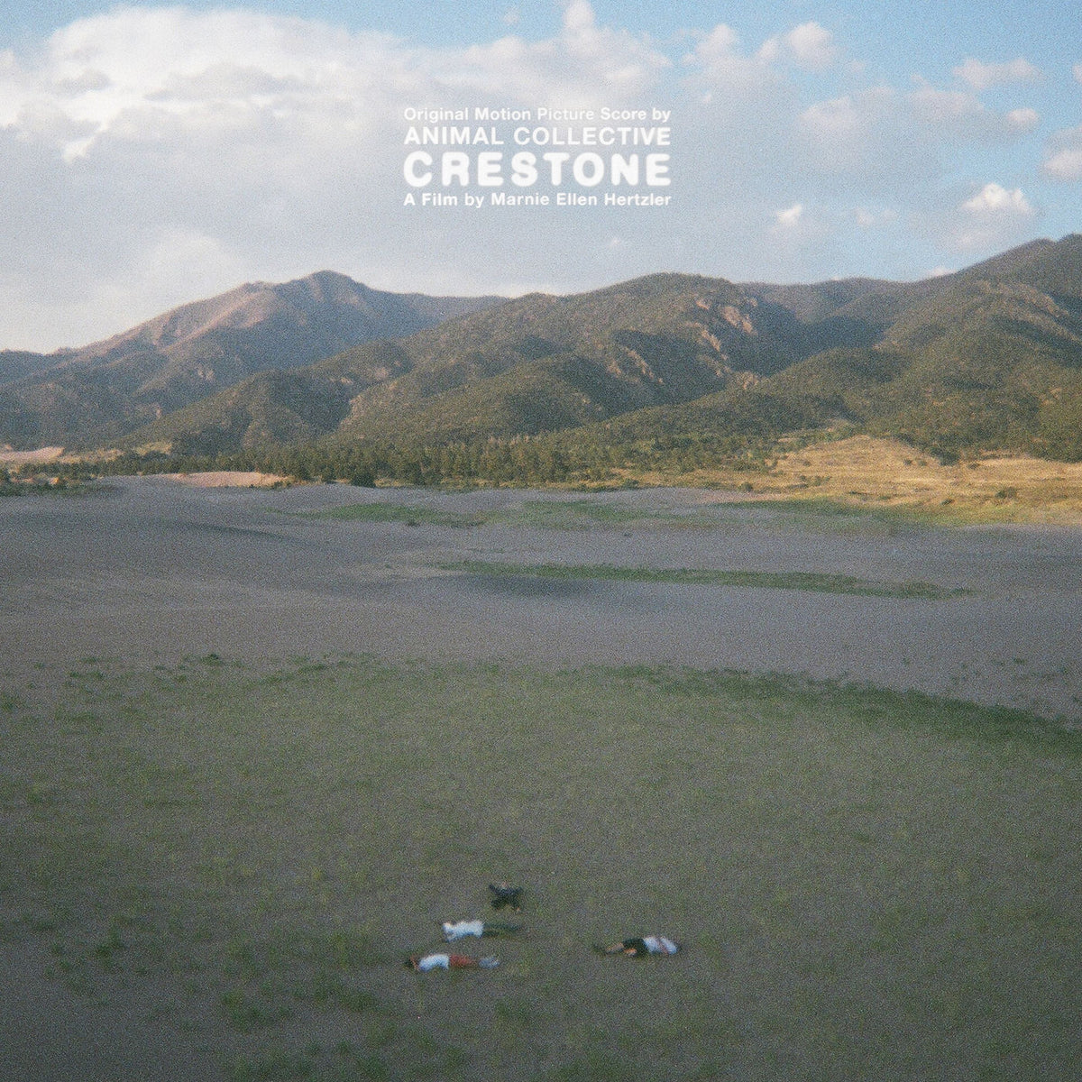 Animal Collective – Crestone vinyl record cover