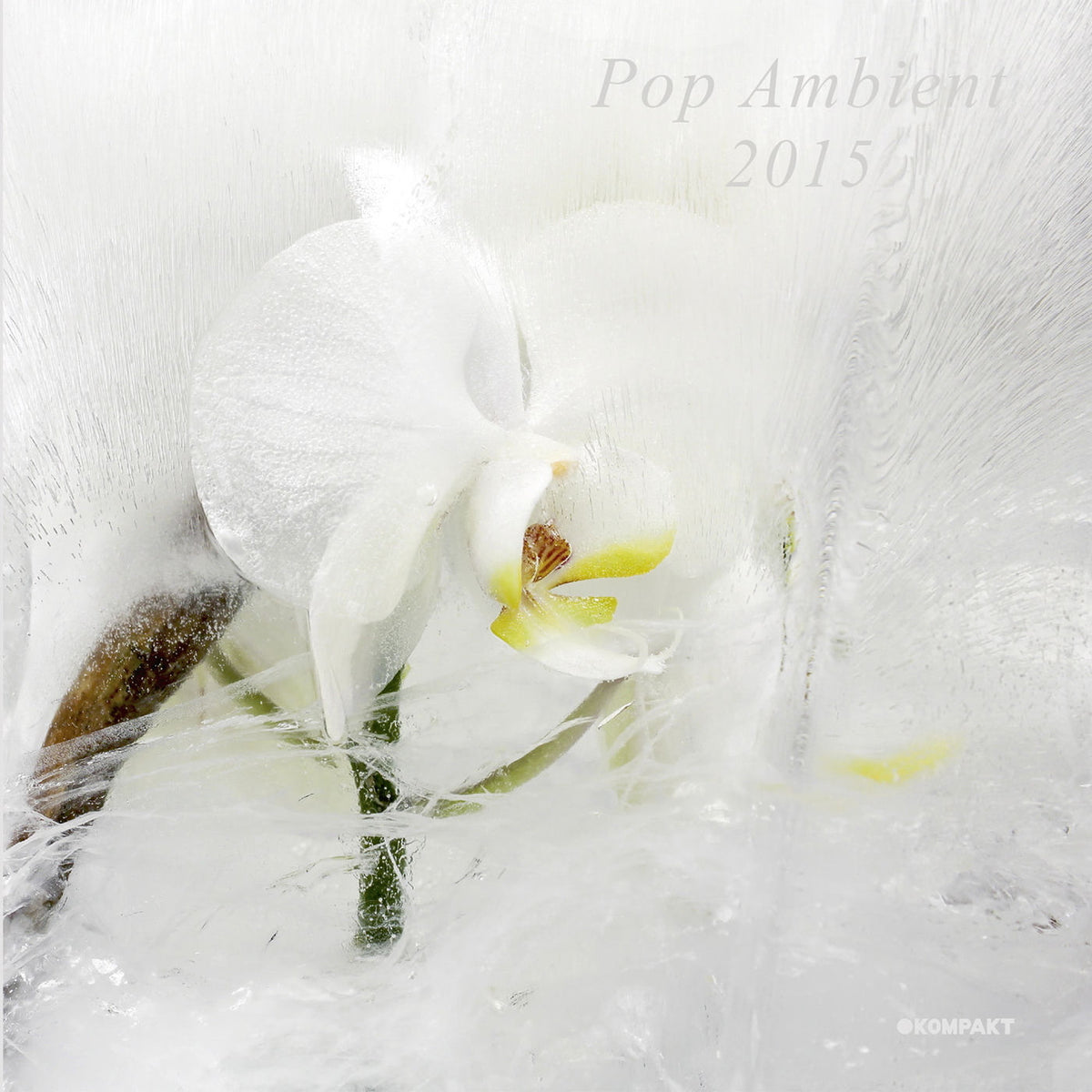 Various Artists – Pop Ambient 2015 (W/CD) vinyl record cover