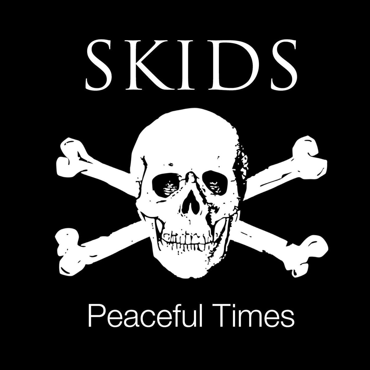 Skids – Peaceful Times vinyl record cover