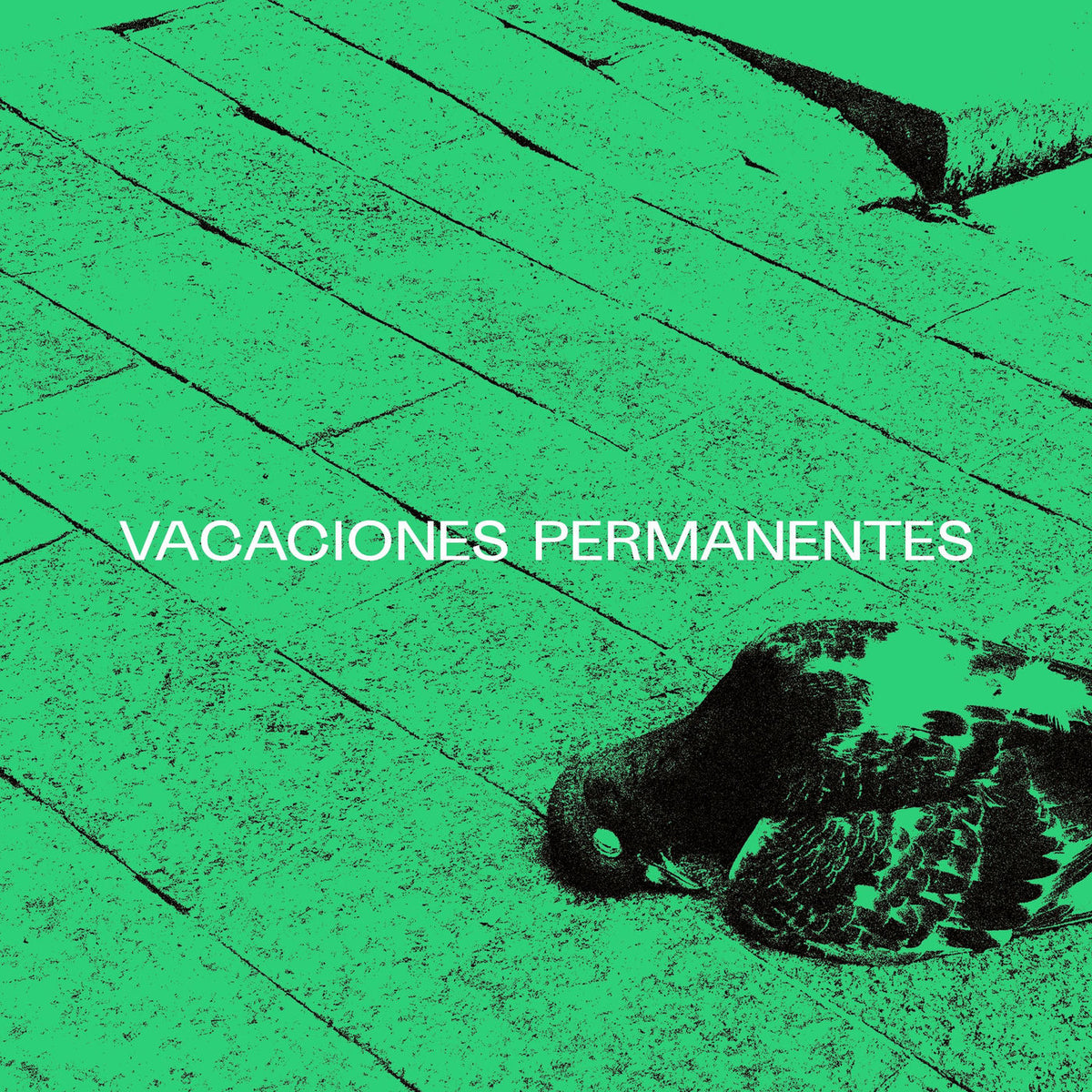 Vacaciones Permanentes – Vacaciones Permanentes vinyl record cover