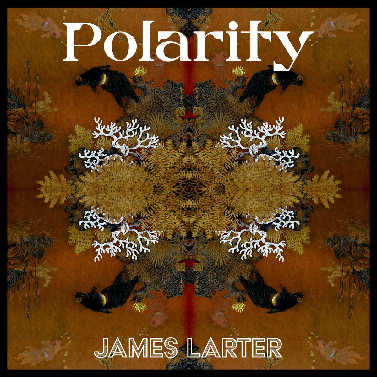 James Larter – Polarity vinyl cover