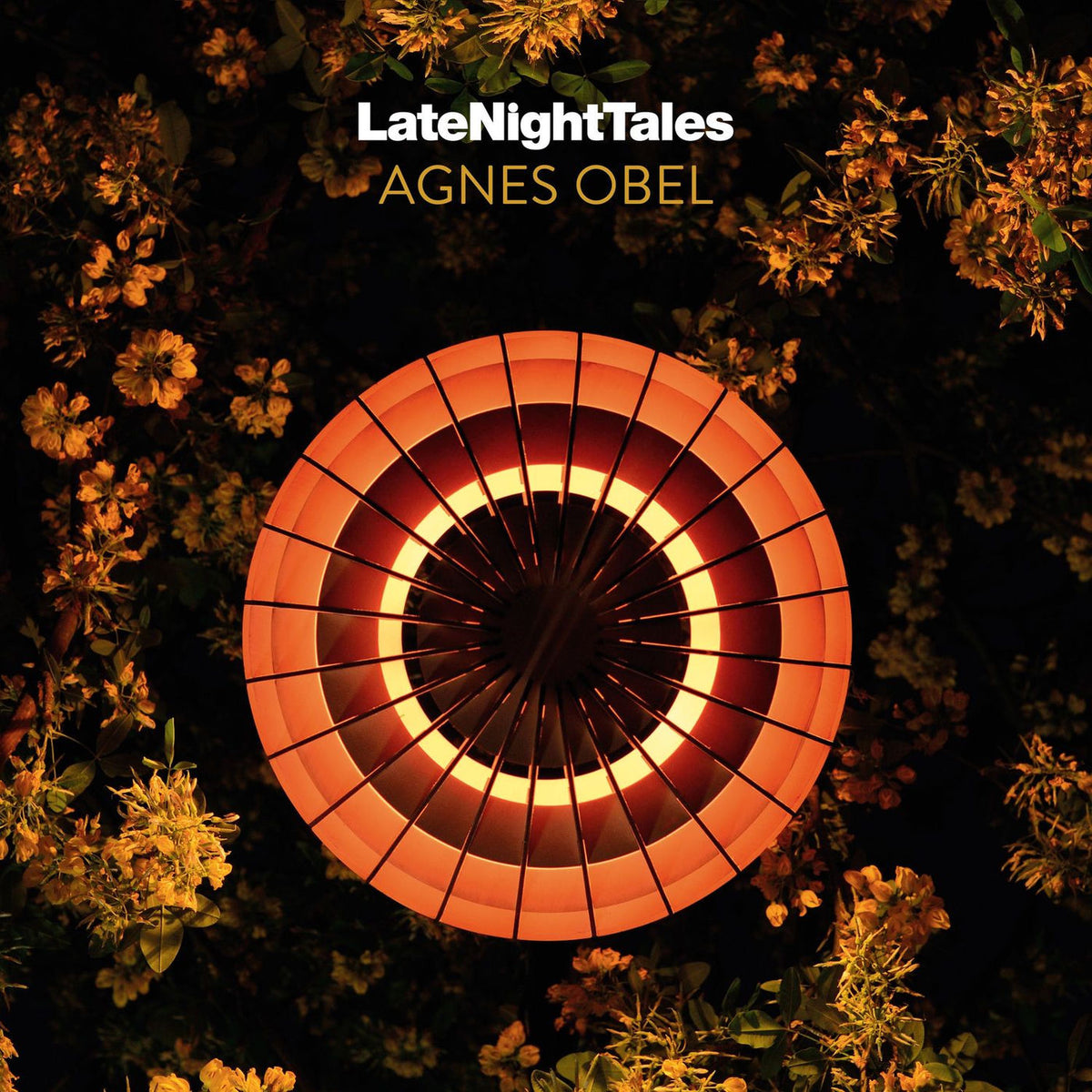Agnes Obel – Late Night Tales: Agnes Obel vinyl cover