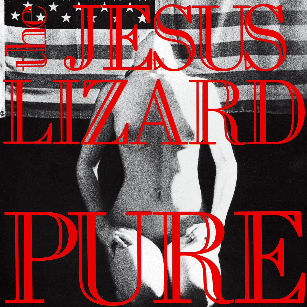 The Jesus Lizard – Pure vinyl cover
