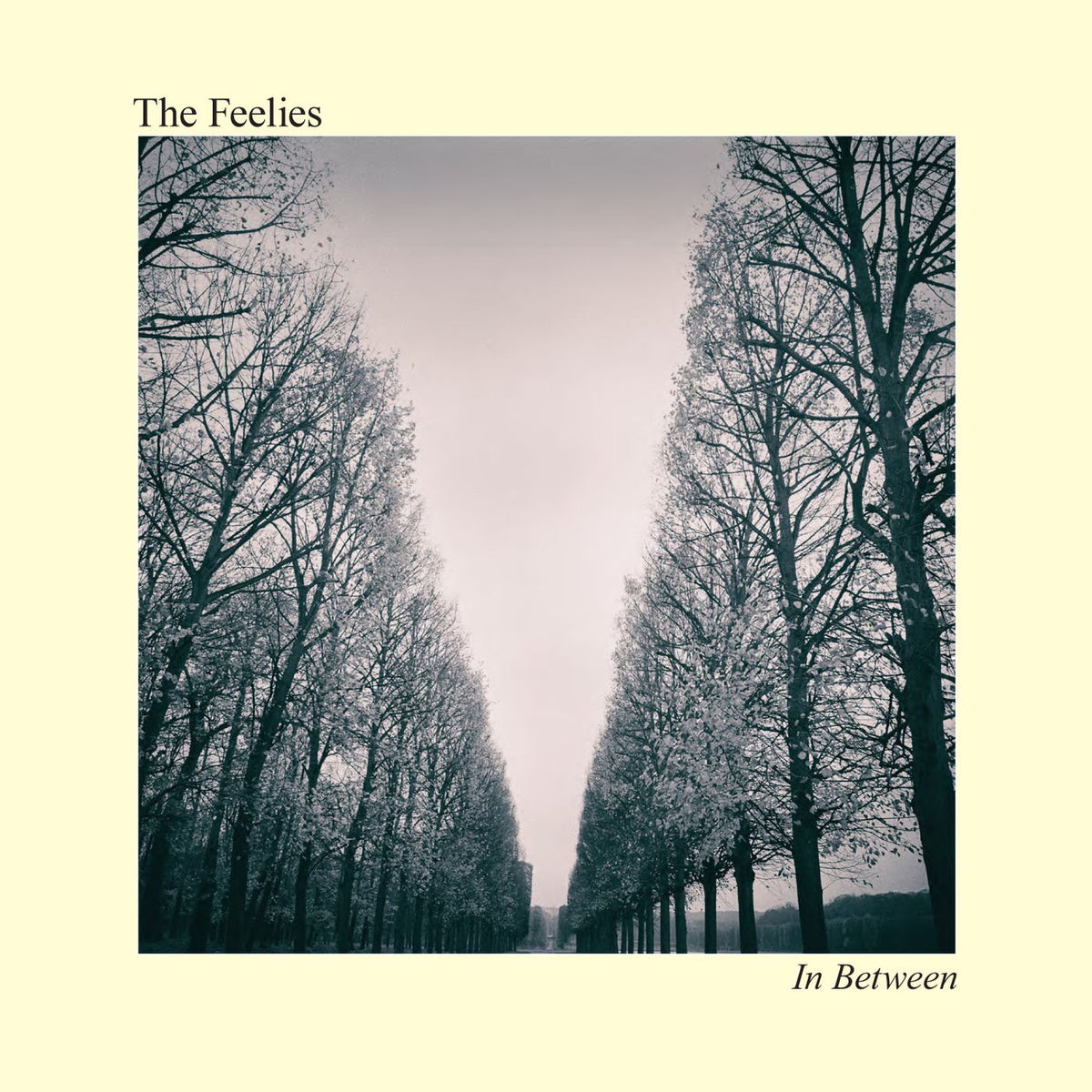 The Feelies – In Between vinyl record cover