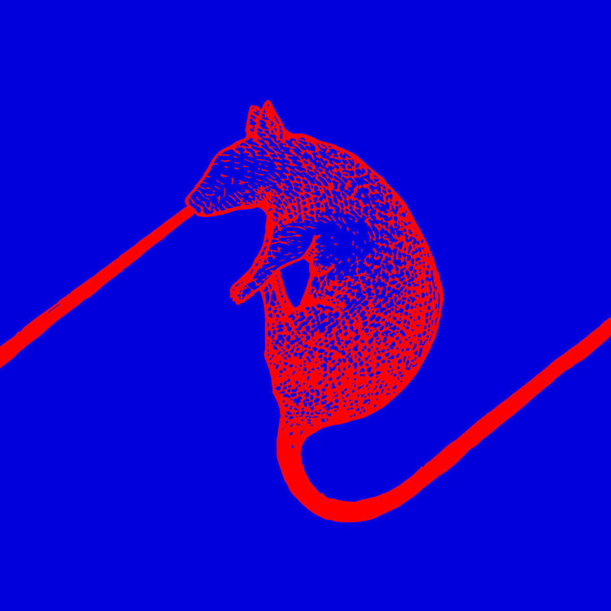 The Dwarfs of East Agouza – Rats Don't Eat Synthesizers vinyl cover