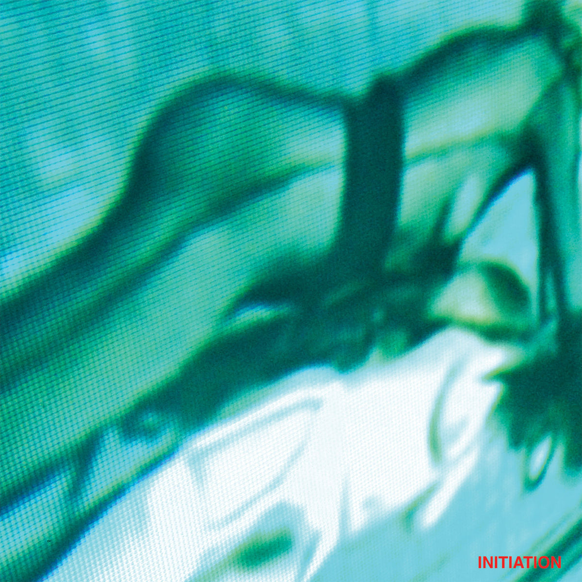 Haunted Hearts – Initiation vinyl record cover