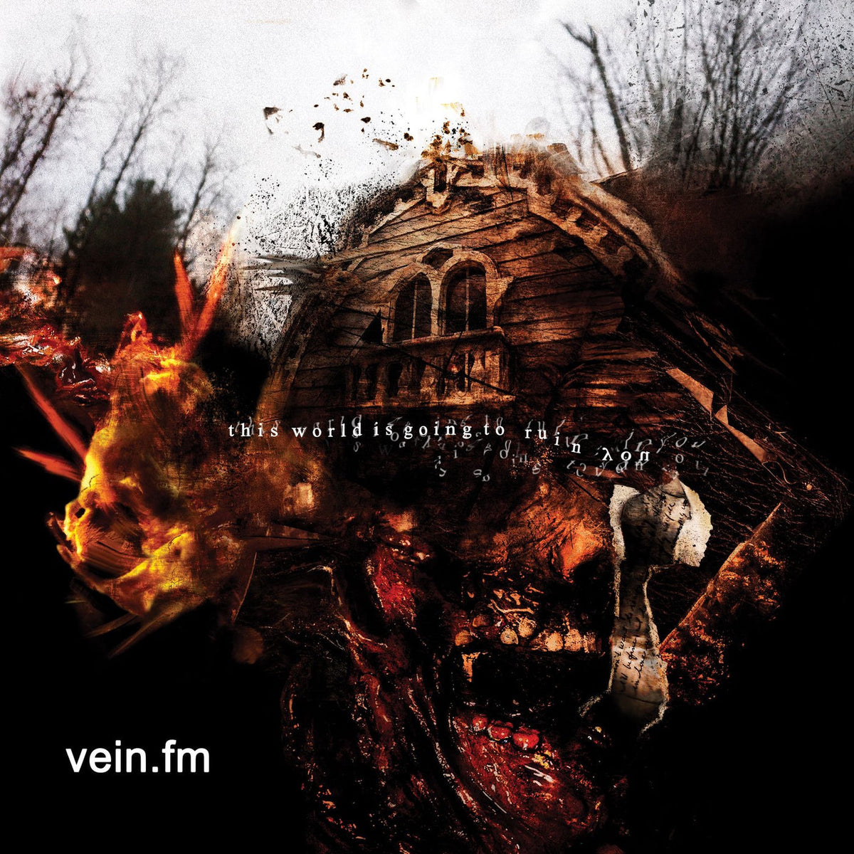 Vein.Fm – This World Is Going to Ruin You vinyl record cover